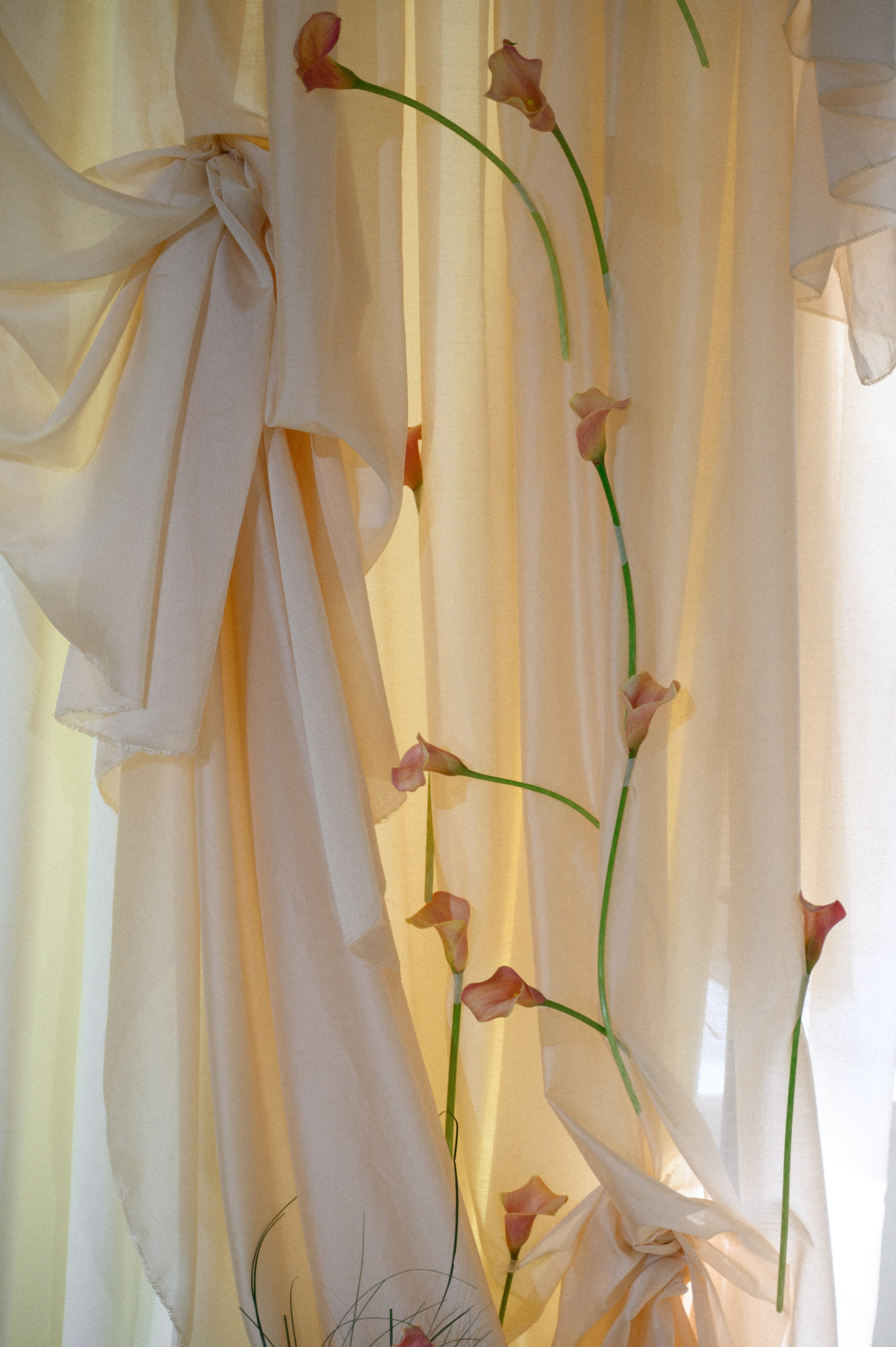 Иван и Наталья. Свадебный фотограф Минск