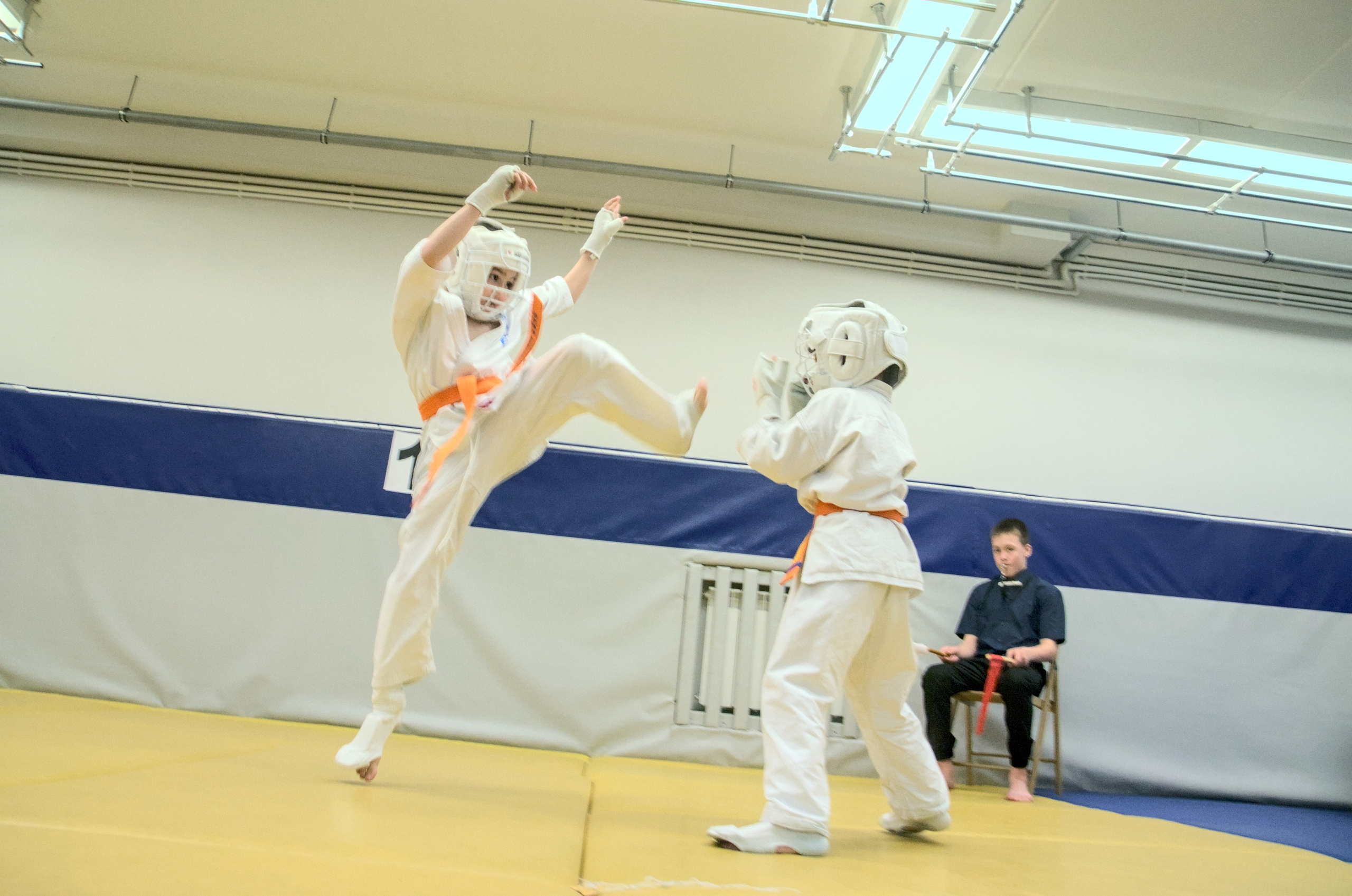 Соревнование по карате. Фотограф анималист, пейзажист, спортивные мероприятия. Новосибирск