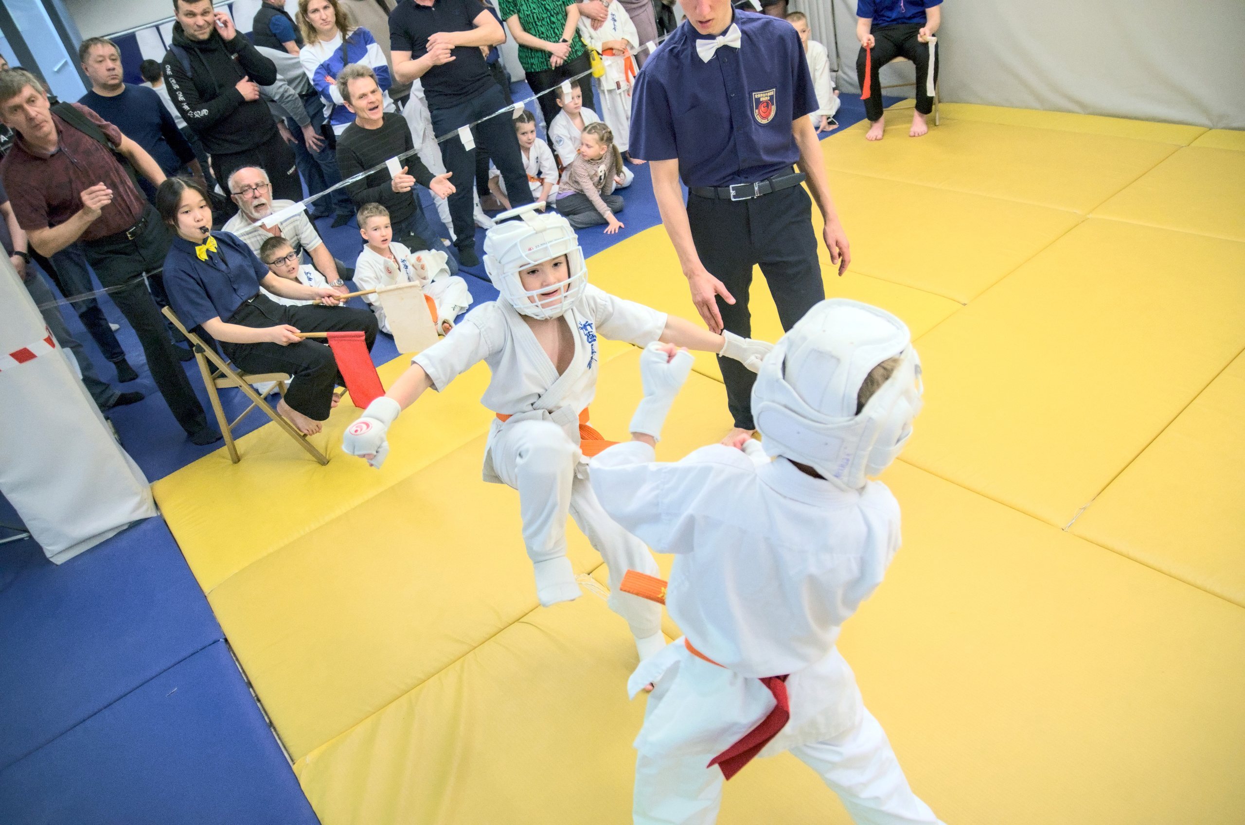 Соревнование по карате. Фотограф анималист, пейзажист, спортивные мероприятия. Новосибирск