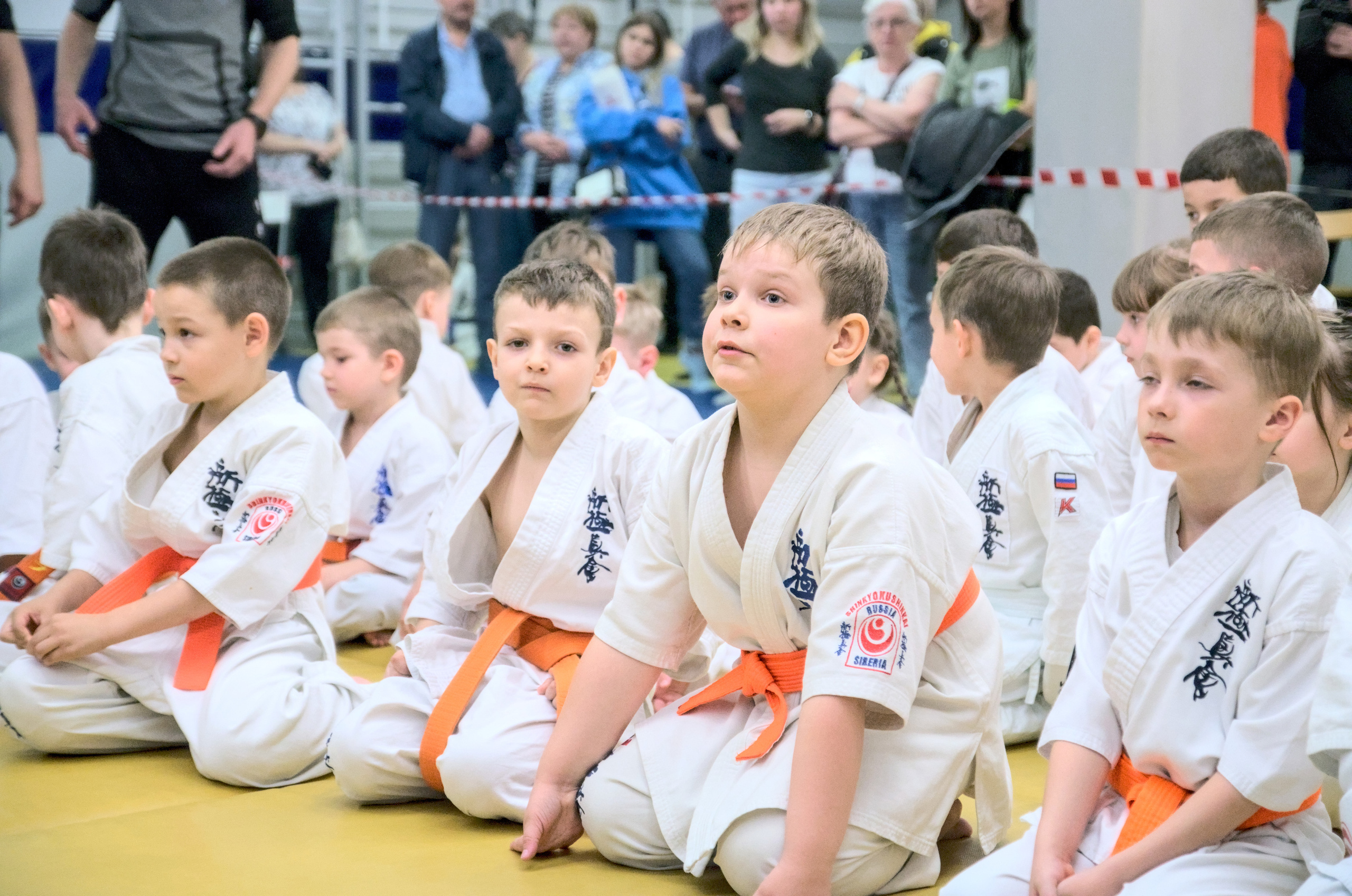 Карате киокусинкай Новосибирск