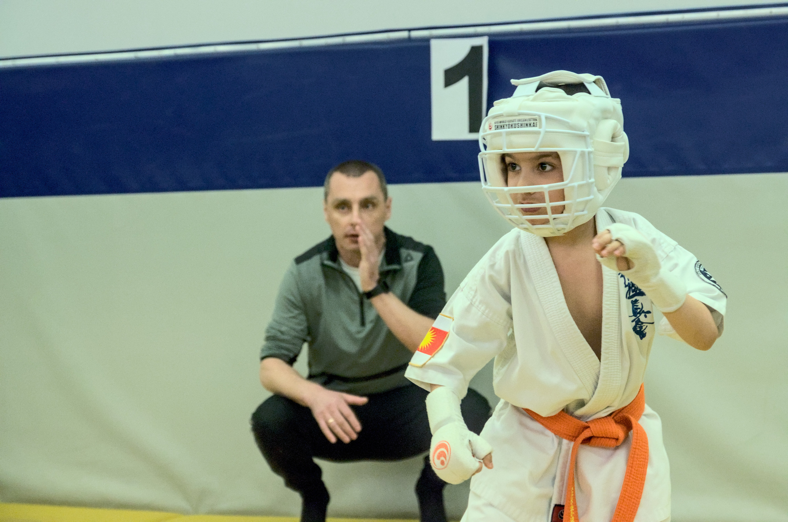 Соревнование по карате. Фотограф анималист, пейзажист, спортивные мероприятия. Новосибирск