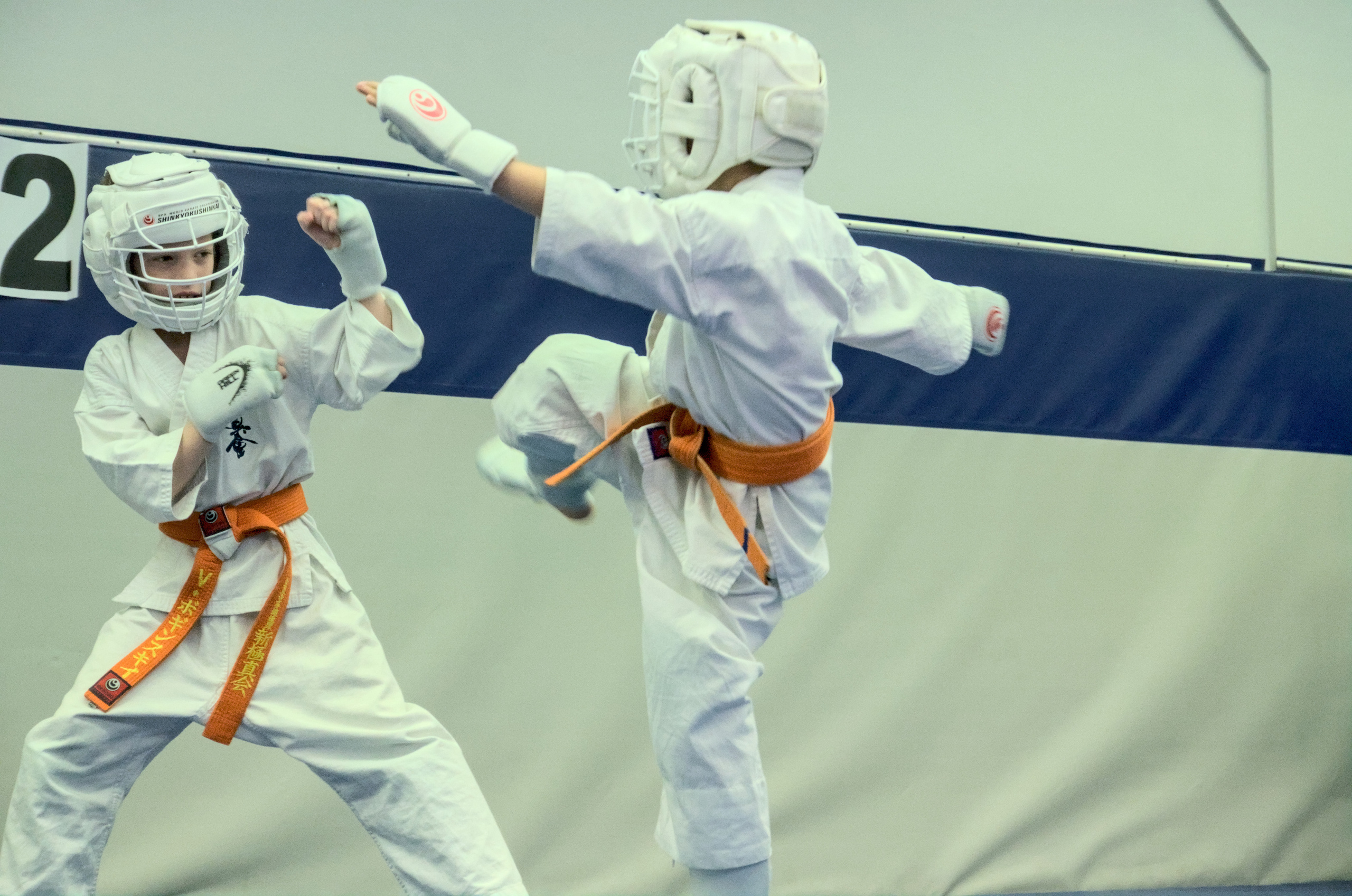 Соревнование по карате. Фотограф анималист, пейзажист, спортивные мероприятия. Новосибирск