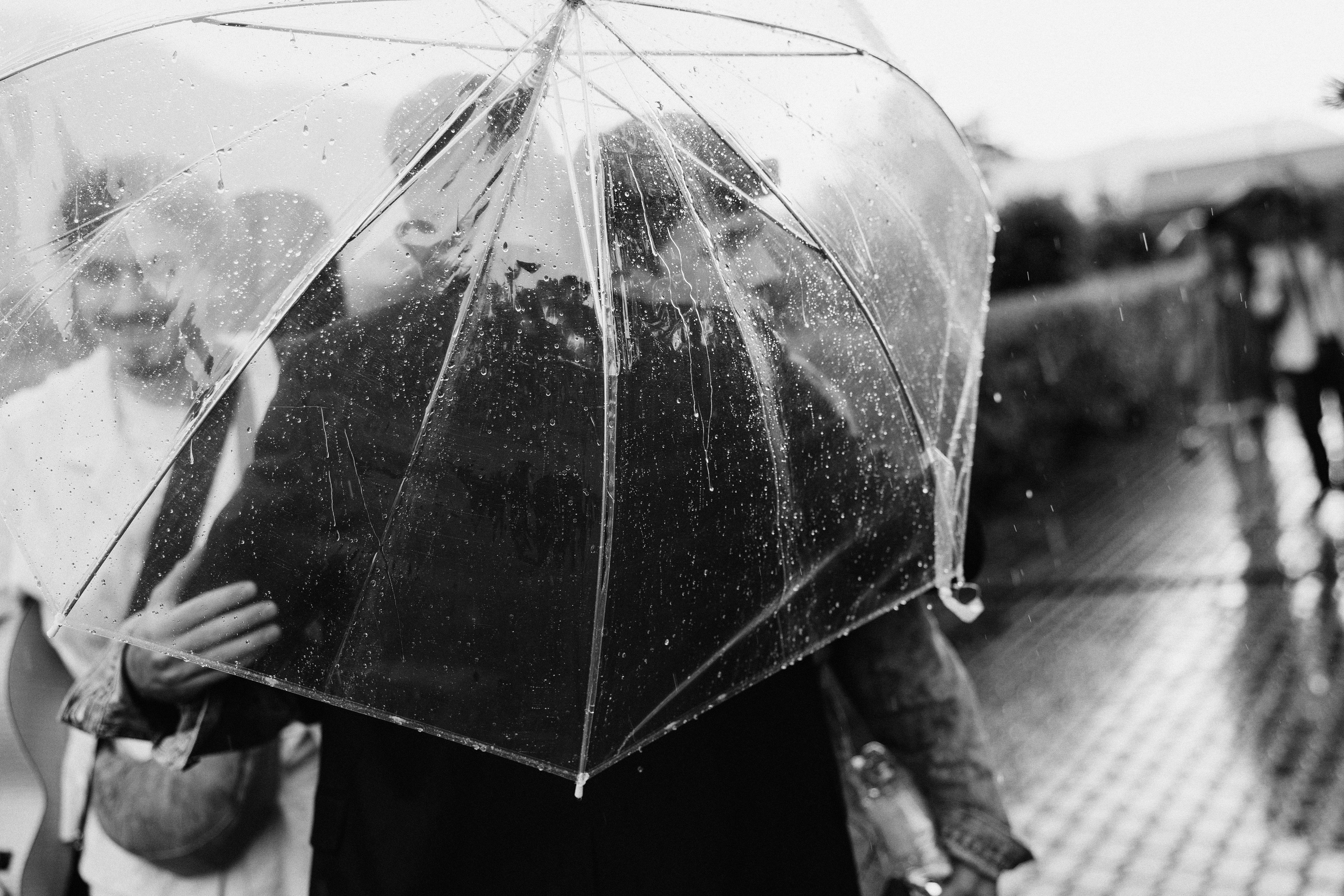 Максим + Алина. Александр Видякин Фотограф в Хакасии и Красноярском крае