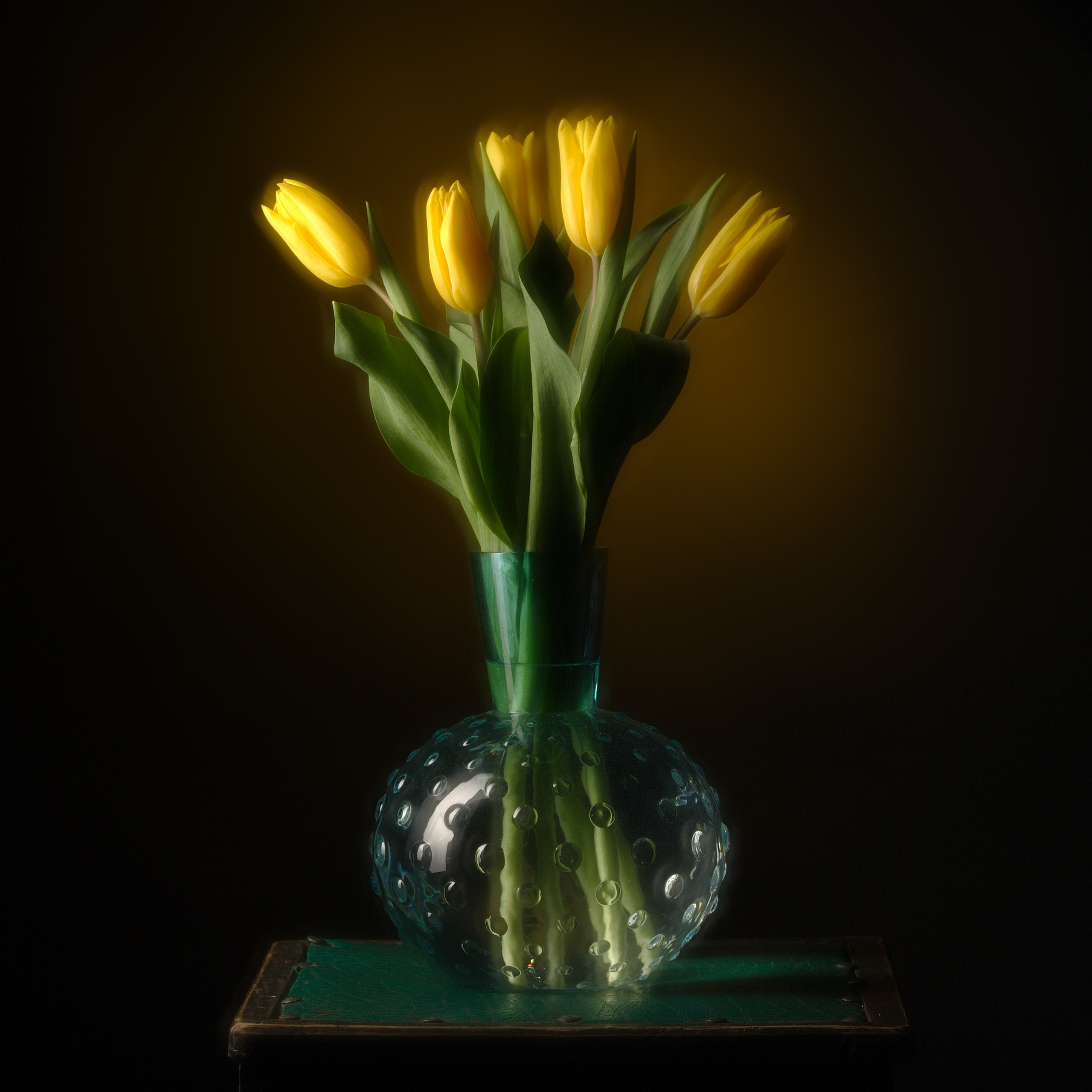 Цветы. Фотограф Мария Кольцова