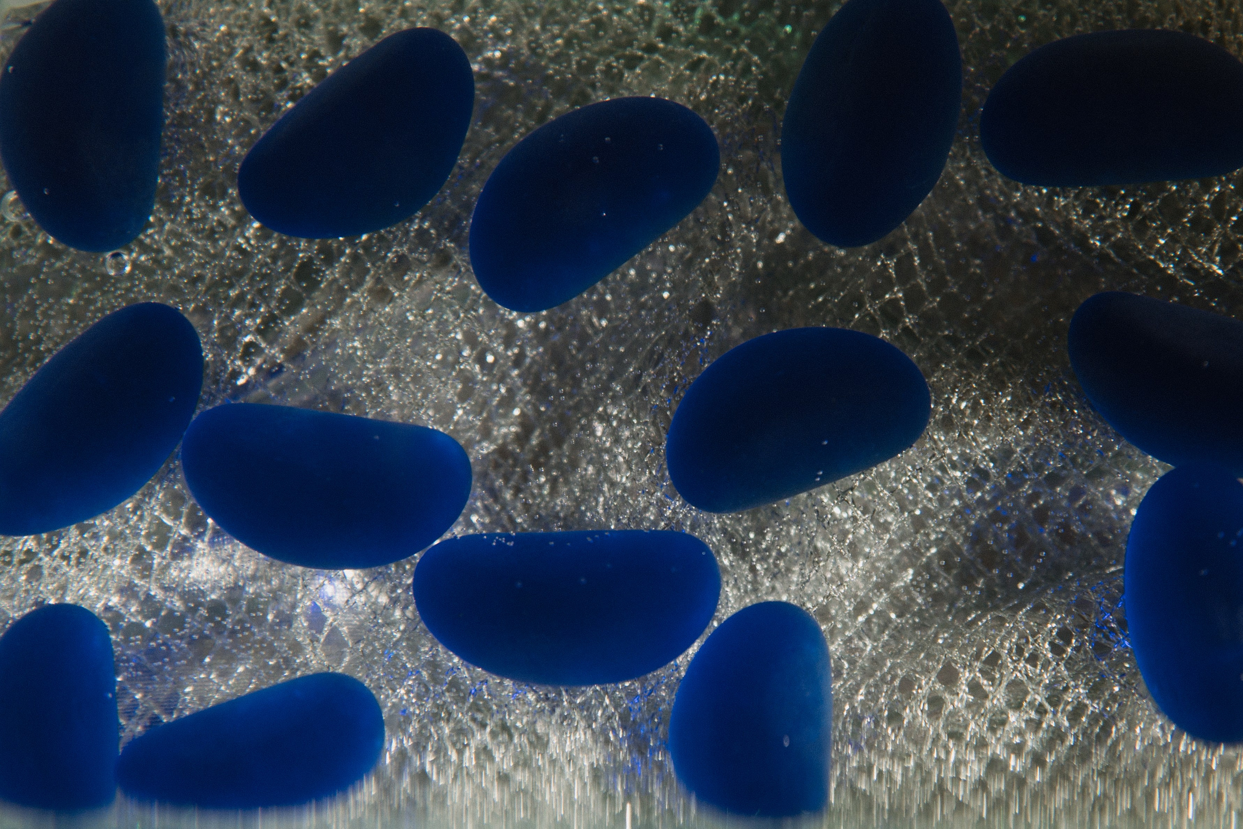 Андрей & Алёна. Свадебный, семейный, женский фотограф в Москве, Мытищах, Королёве Ксения Узилле