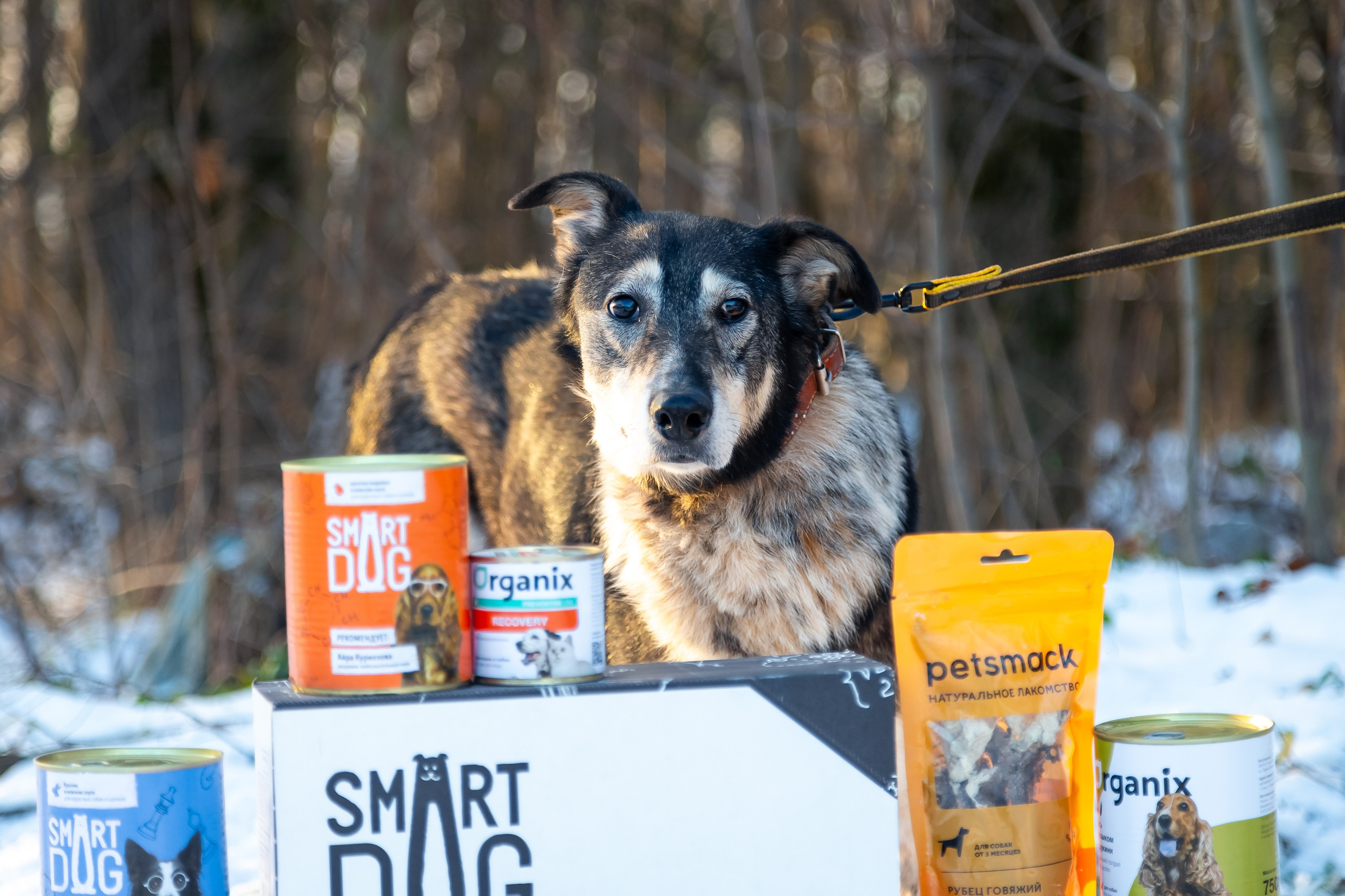 Petshop Забота. Фотограф в Санкт-Петербурге Чумаков Семен