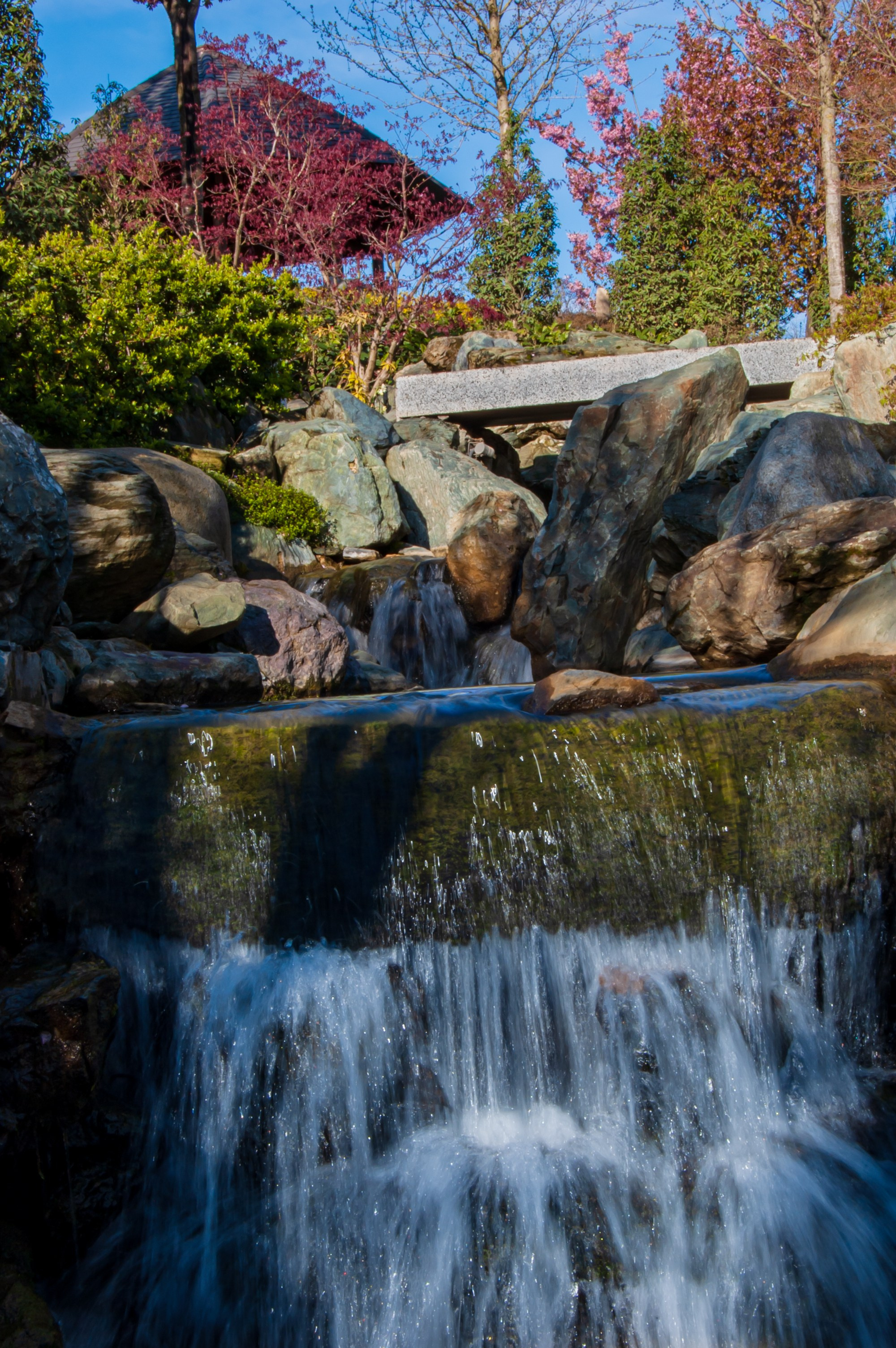 Фотосессия эстетики Японского сада в Краснодаре. Портретный фотограф в Краснодаре Слава Никитин