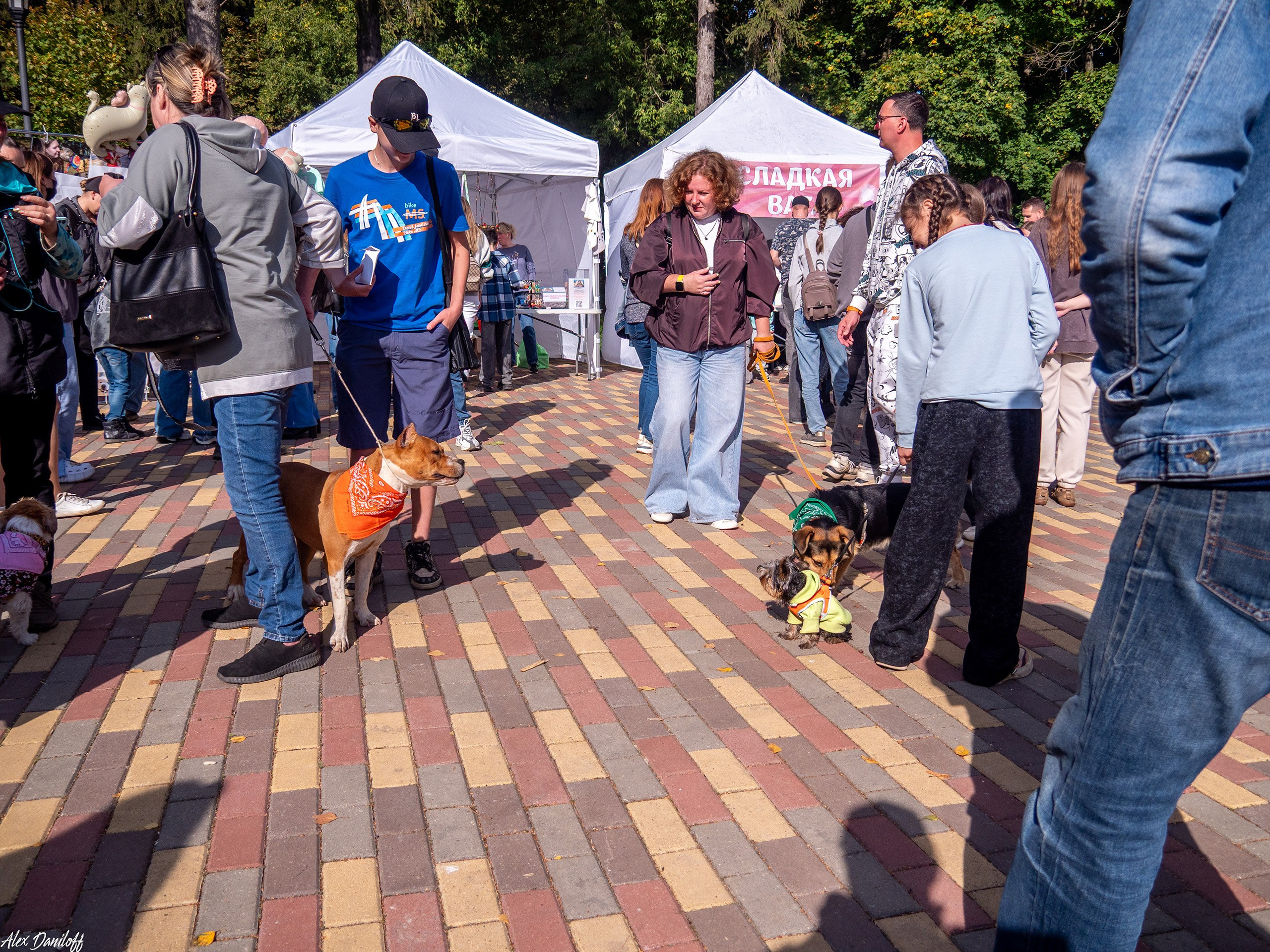 Обнимака 2025. Муром-Инфо. Новости культуры, образования, спорта в городе Муром