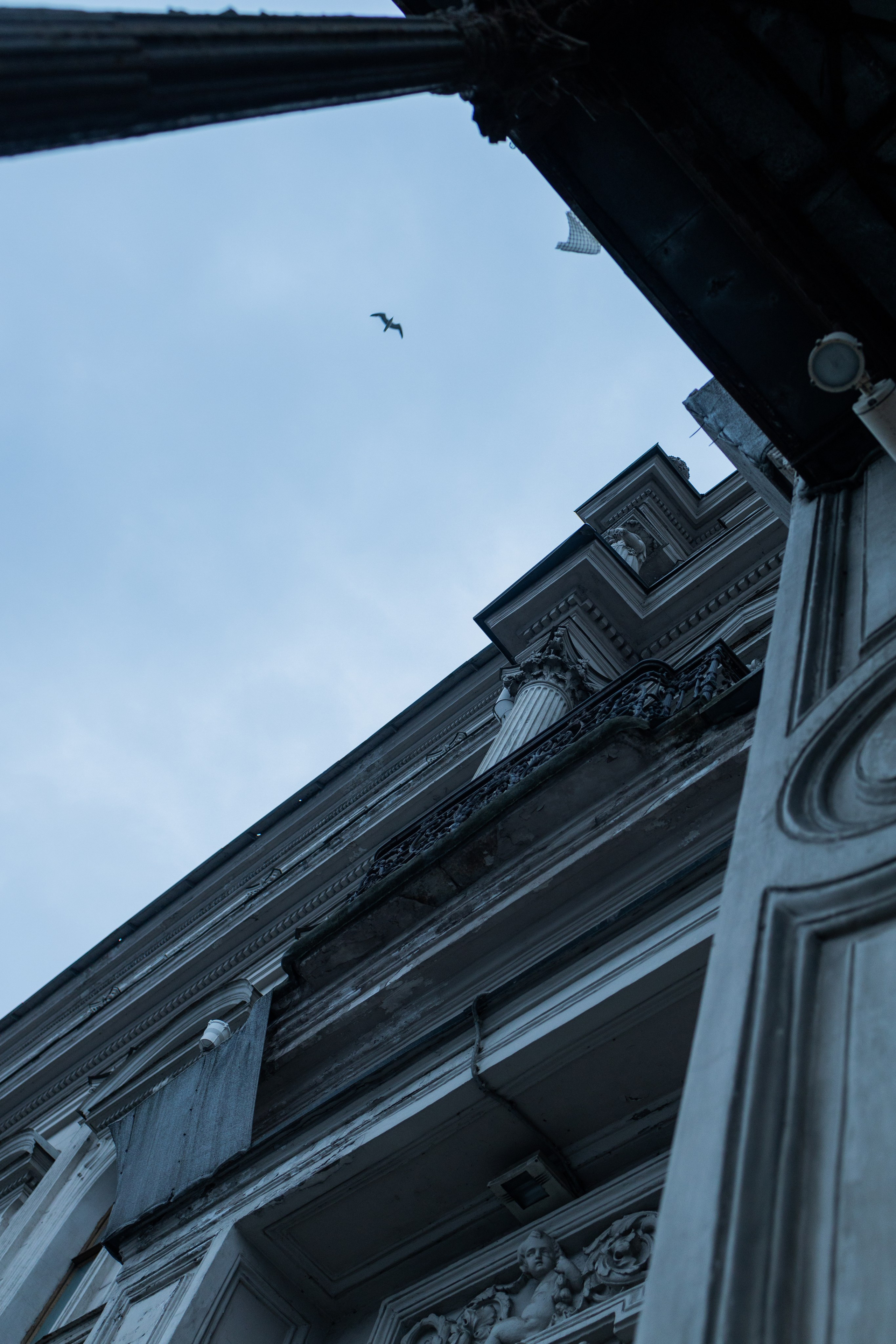 Эстетика П р о Я в л е н и я. Виноградова Маргарита. Фотограф P r o Явления