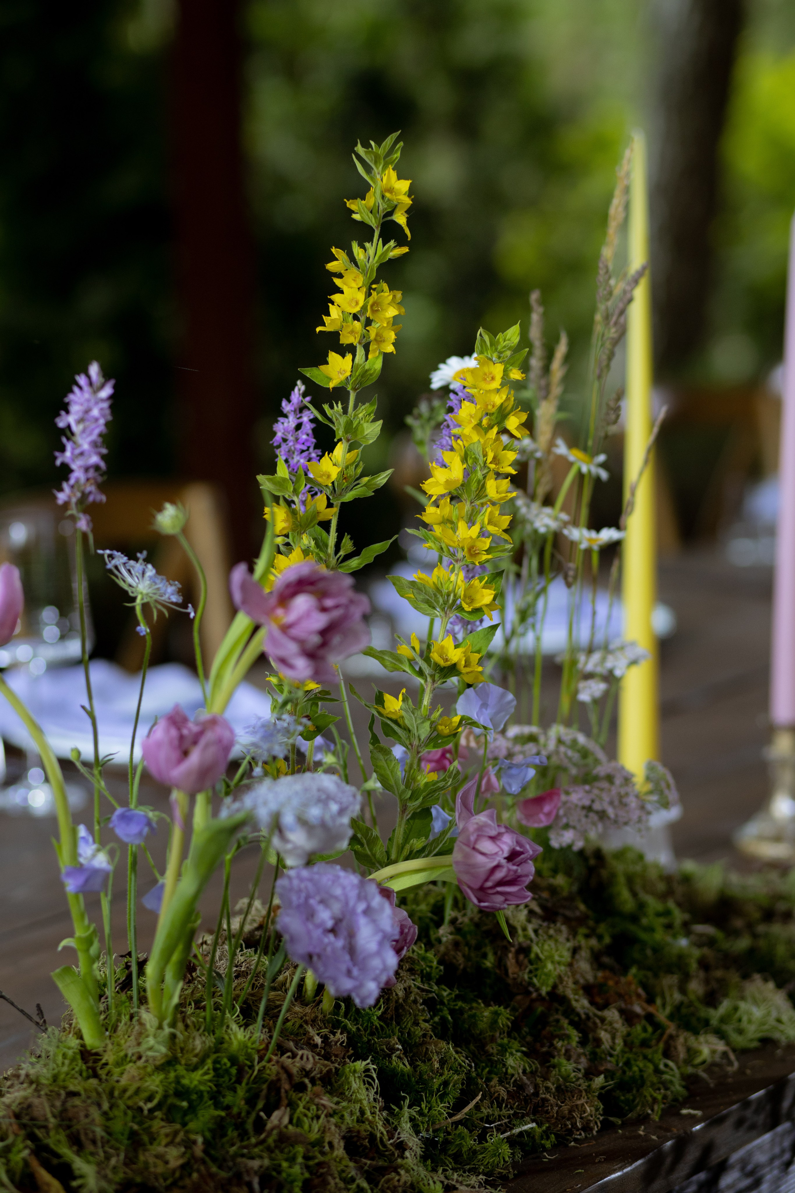 Павел & Полина. Оформление свадеб, декор свадеб Вера Маркова, Москва