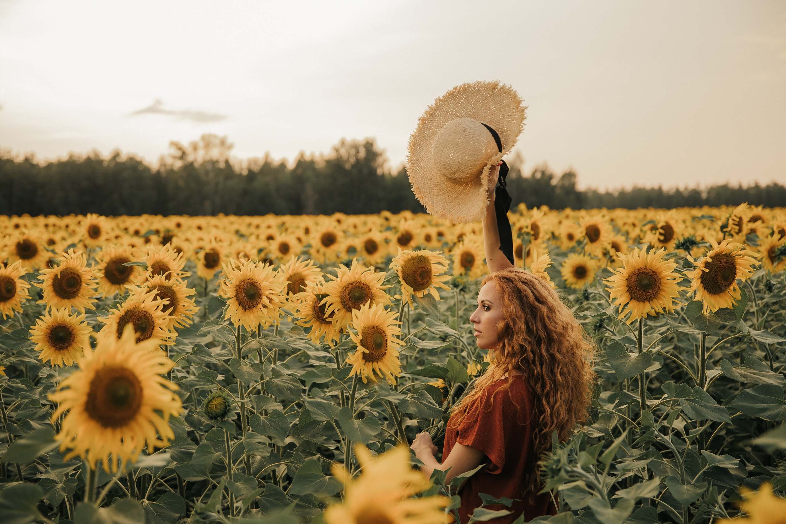 Лена и подсолнухи. Семейный и свадебный фотограф в Челябинске Юлия Софьина