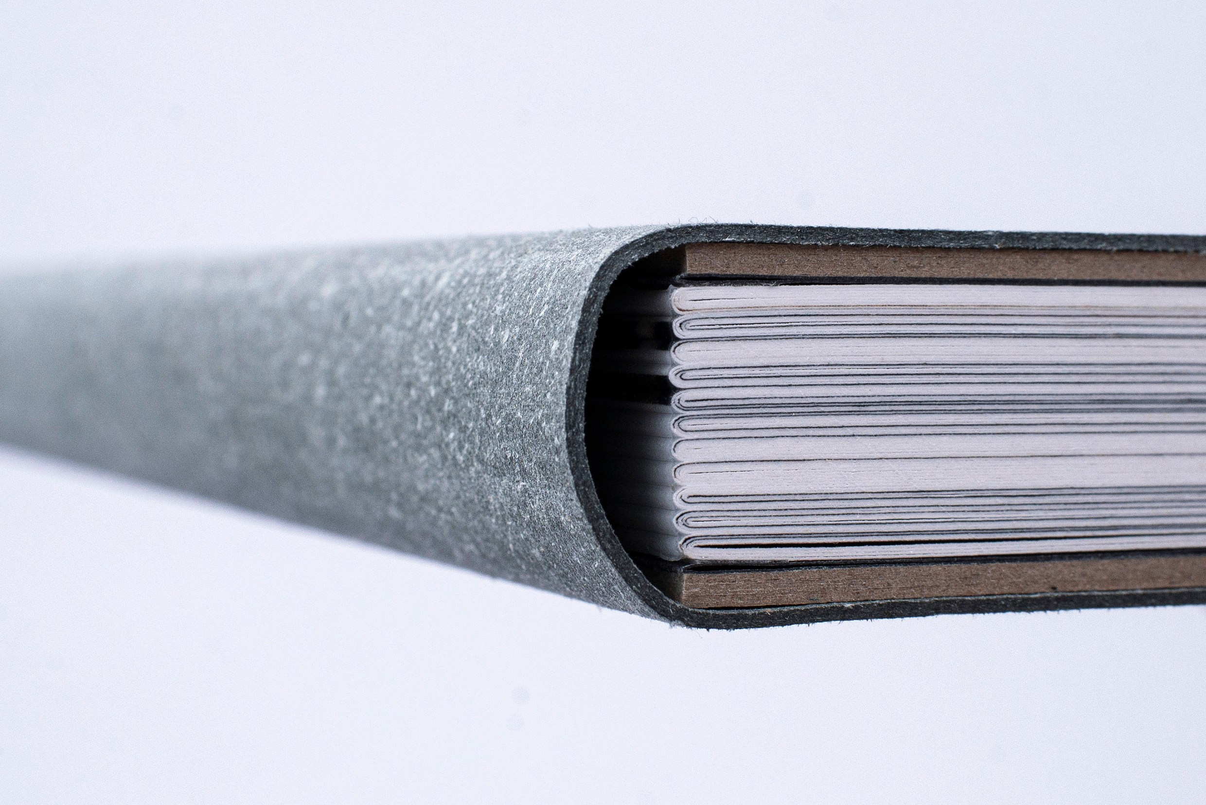 Книга. Фотограф в Москве Алейникова Евгения