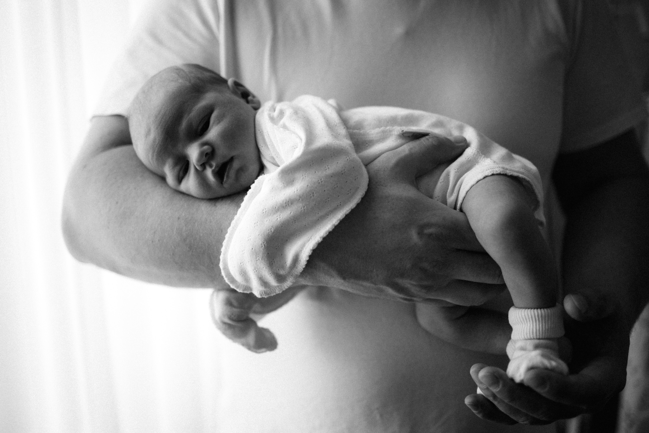 Домашние. Главная