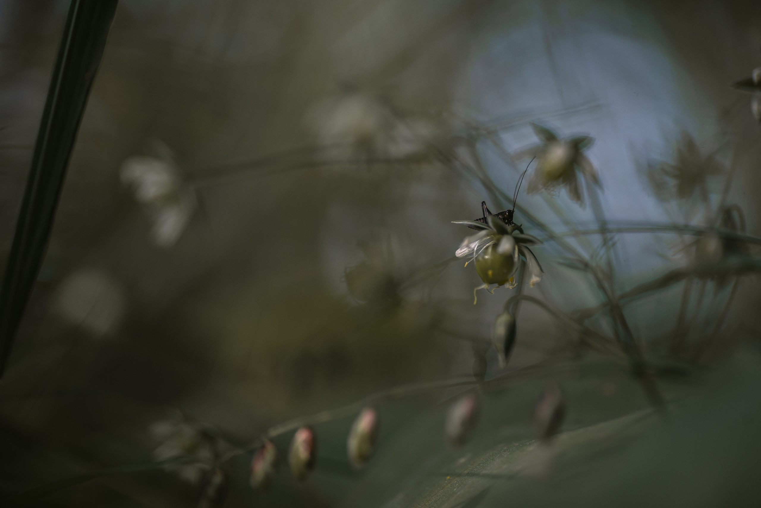 Природа. Фотограф Таинства Крещения в Саратове Ильченко Артем