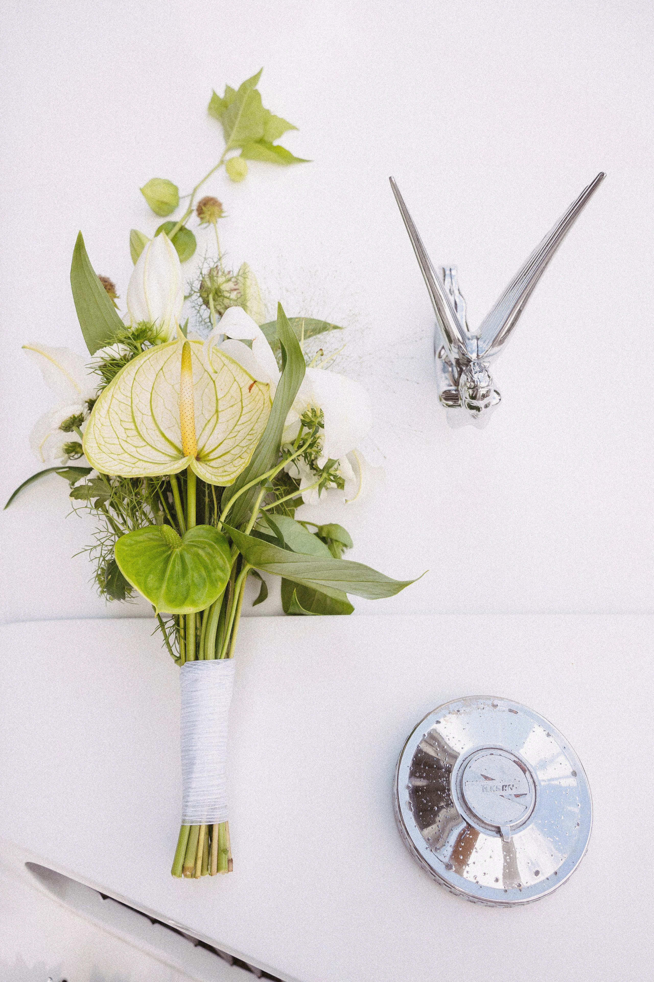 В&B Прогулка + ЗАГС. Свадебный, репортажный, семейный фотограф Елена Брюхова