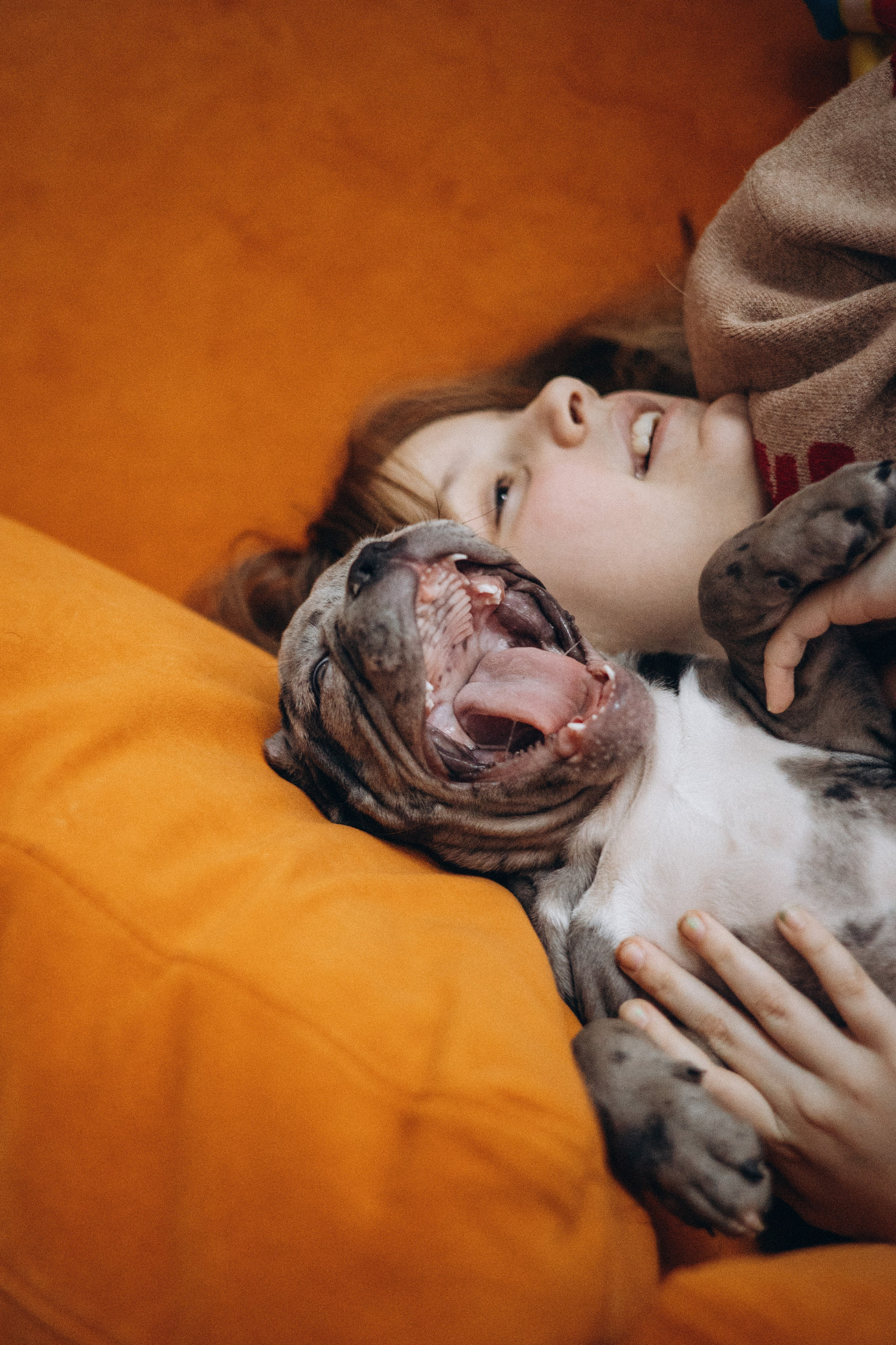 Семейная для Ксюши. Фотограф — Анималист | Санкт-Петербург