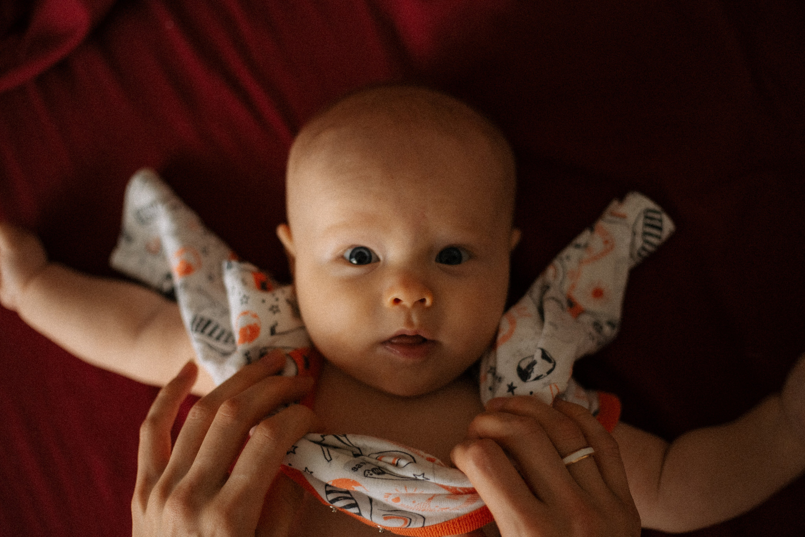 Алиса. Семейный фотограф Виктория Потехина Москва