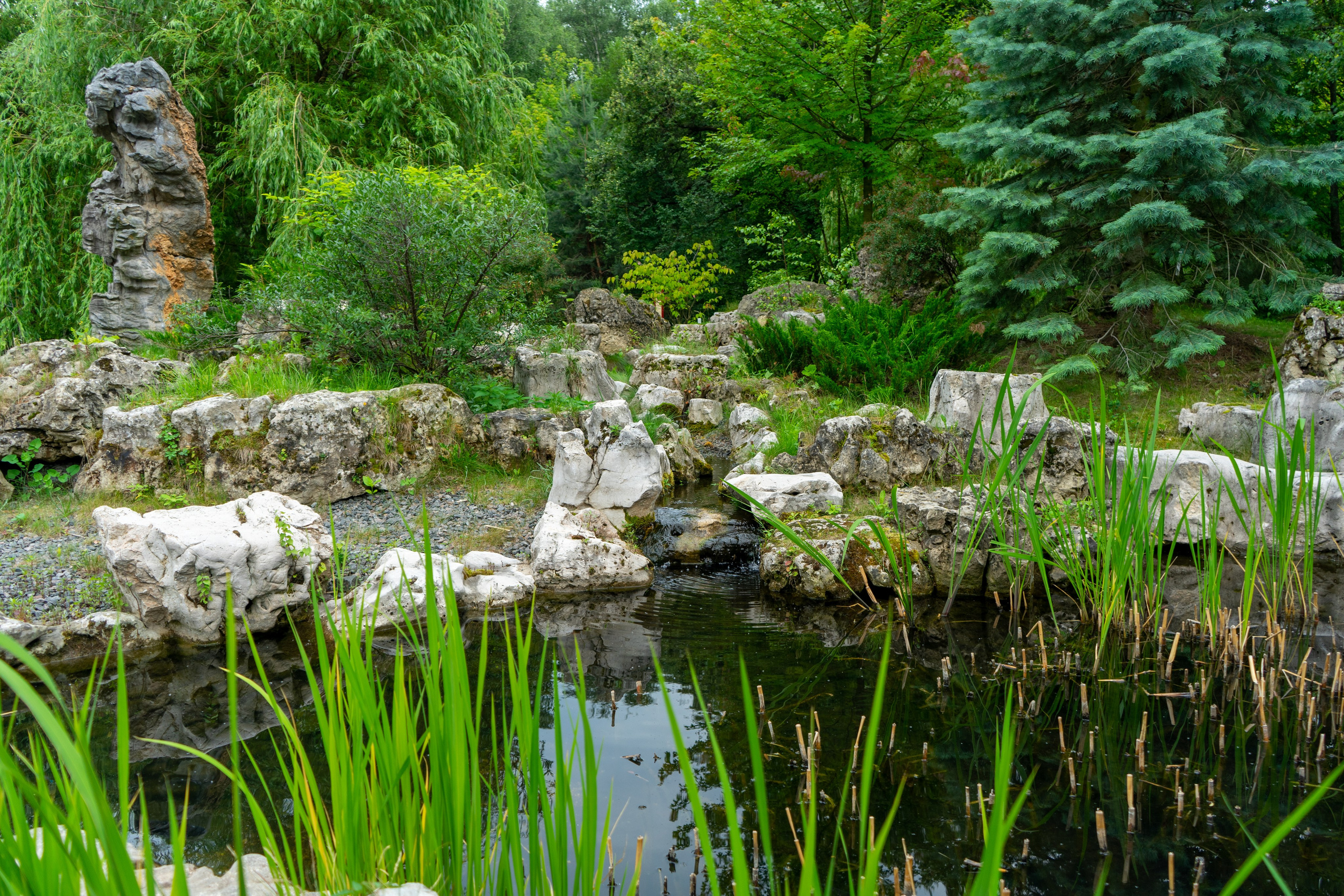Виды парка Хуамин Москва. Авторские фотографии Чугунова Николая