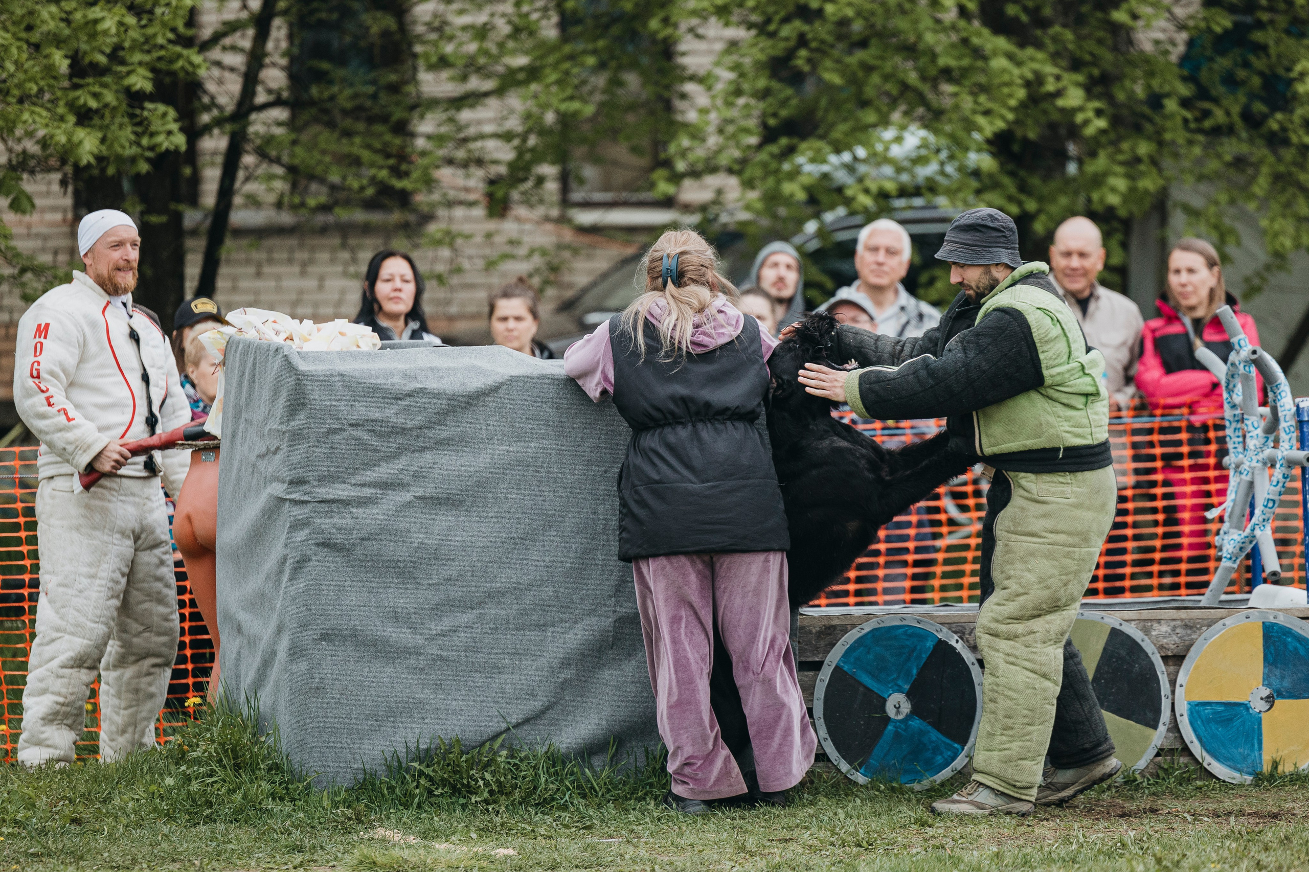 26.05.25 г. Пушкин квалификационные соревнования. Фотограф-анималист Анна Маринич