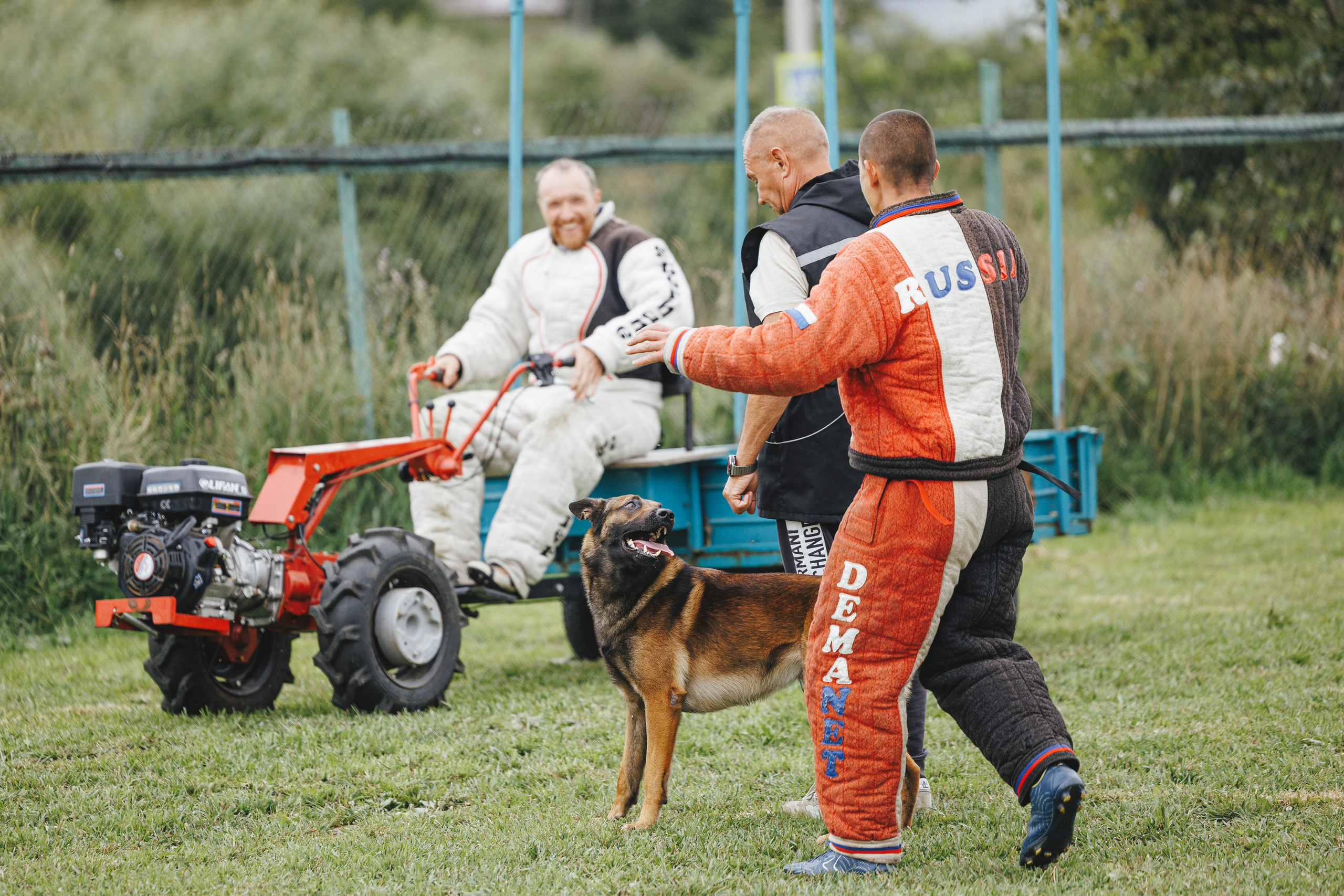 08.08.25-10.08.25 ЧР по мондьорингу г. Вологда. Фотограф-анималист Анна Маринич