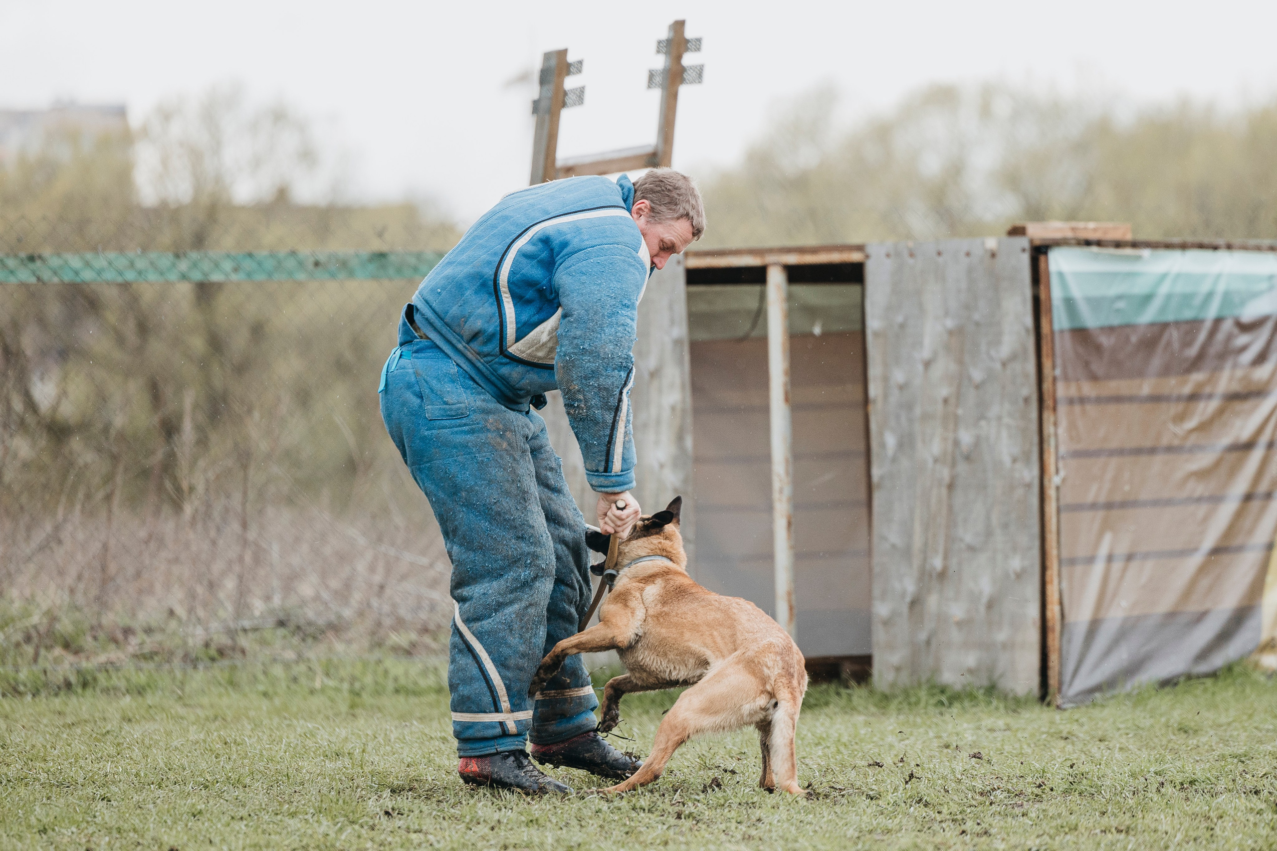 09.05.25 Вологда соревнования. Фотограф-анималист Анна Маринич