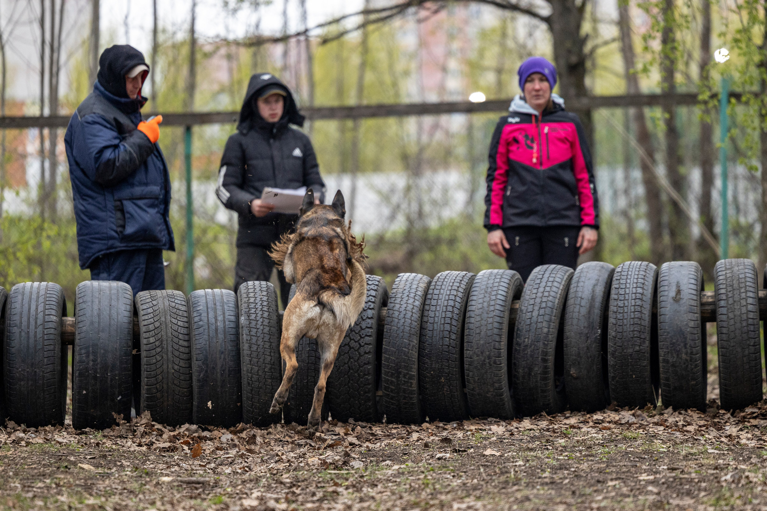 Квалификационные состязания по мондьорингу г. Вологда 11.05.24. Фотограф-анималист Анна Маринич
