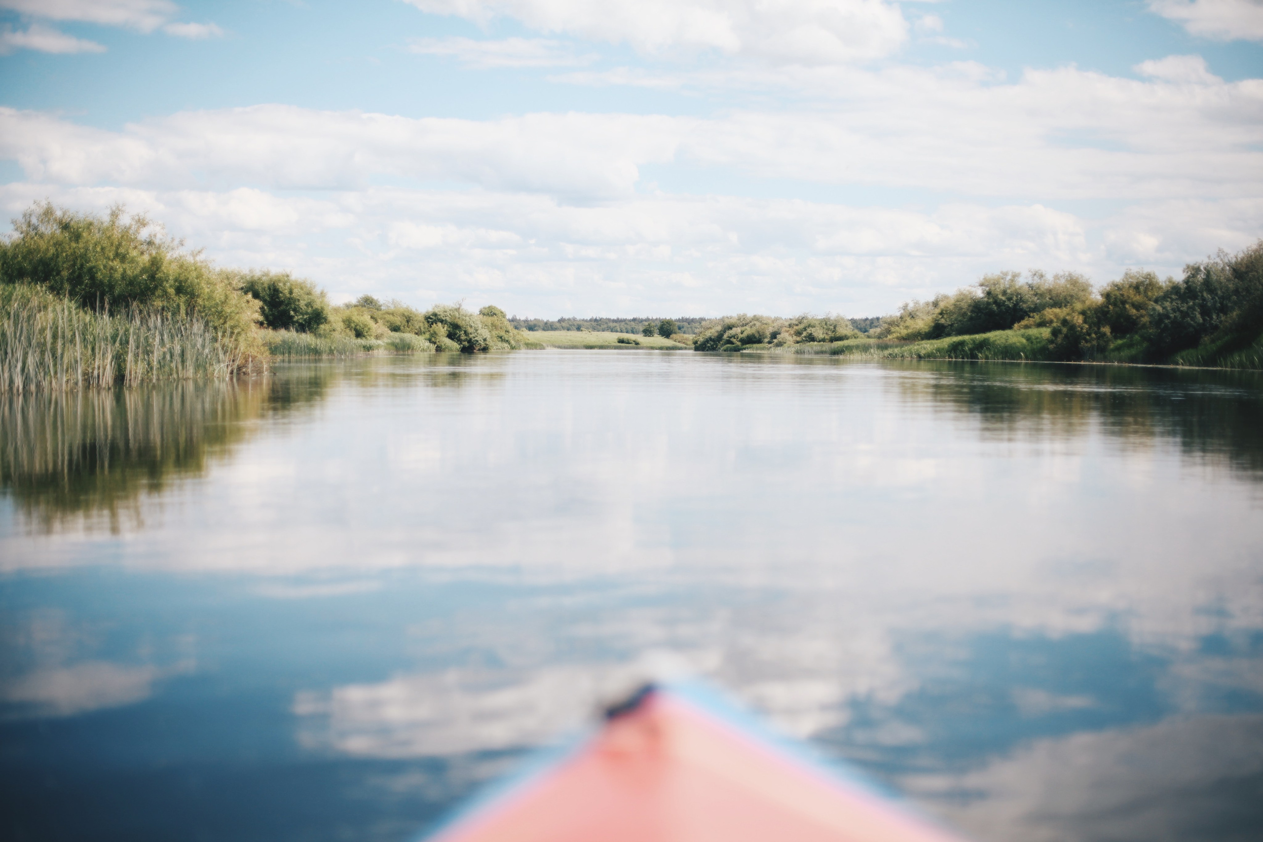 Река МИРА. Ксения Плотникова