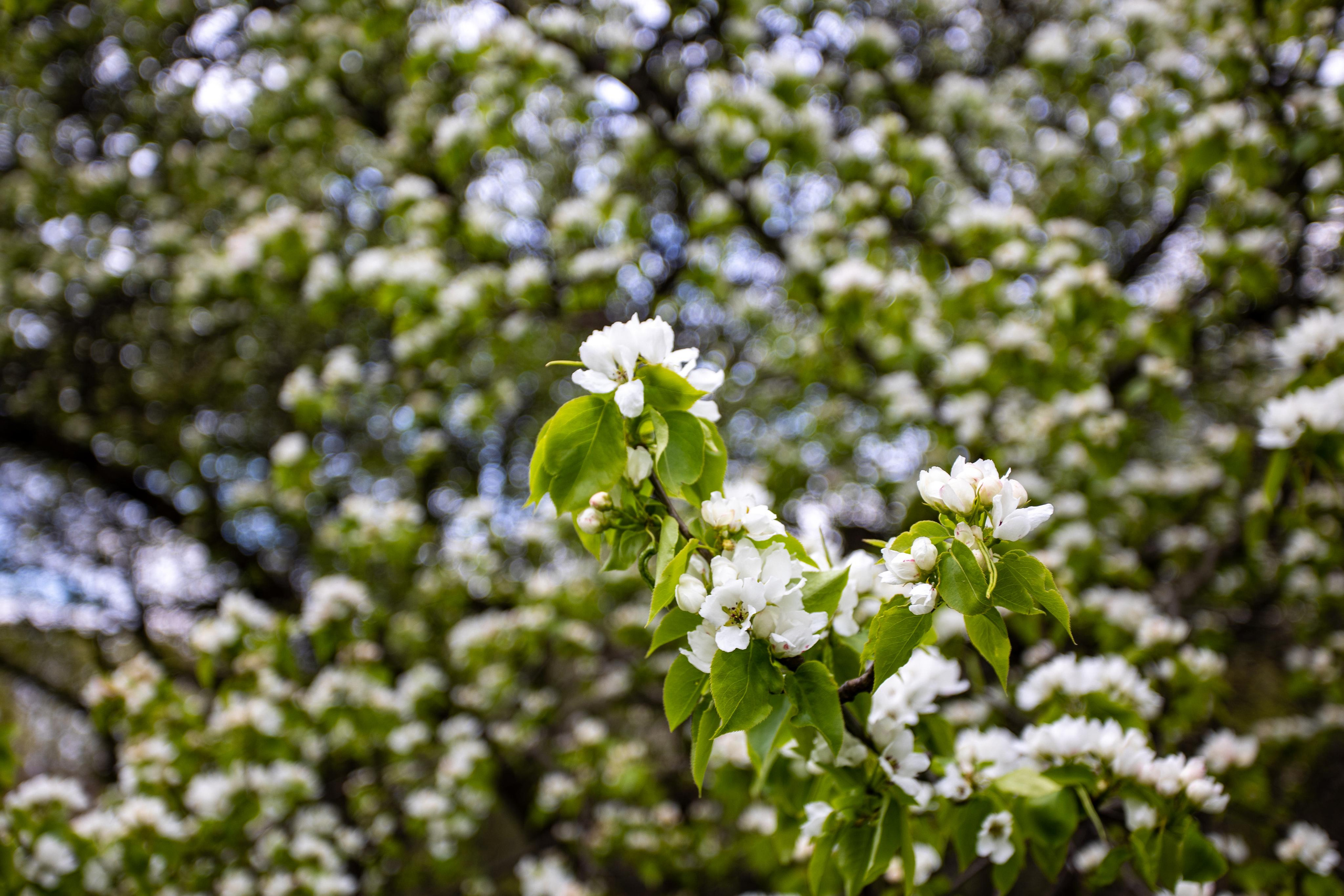Коллекция пейзажных фотографий. Photographer Sonkina Tatiana (Tanya Ash)