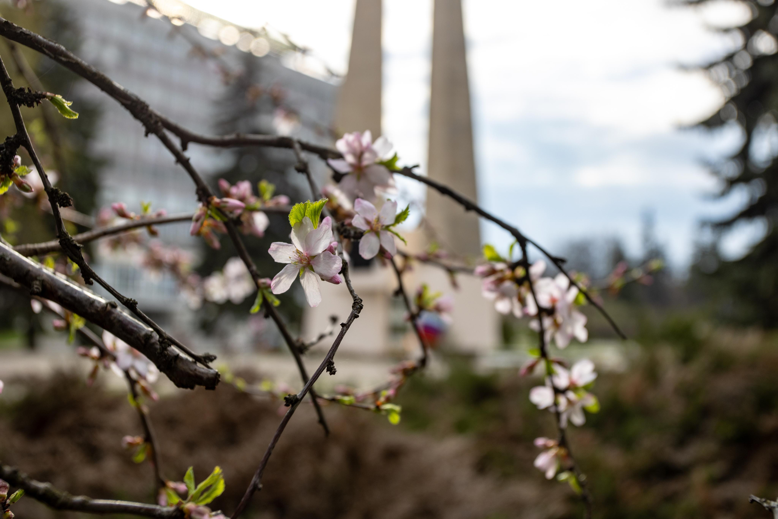 Москва. Photographer Sonkina Tatiana (Tanya Ash)