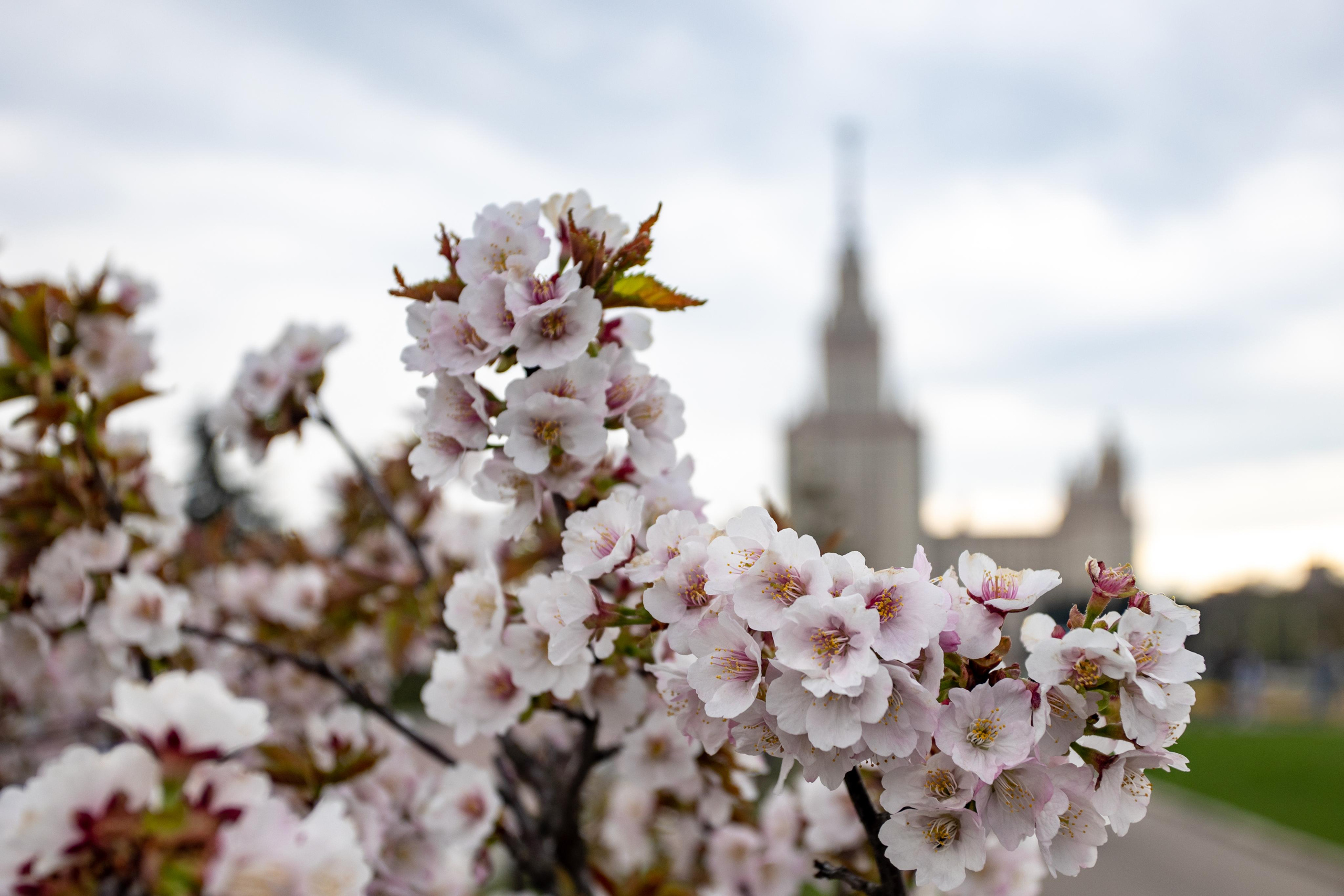 Москва. Photographer Sonkina Tatiana (Tanya Ash)