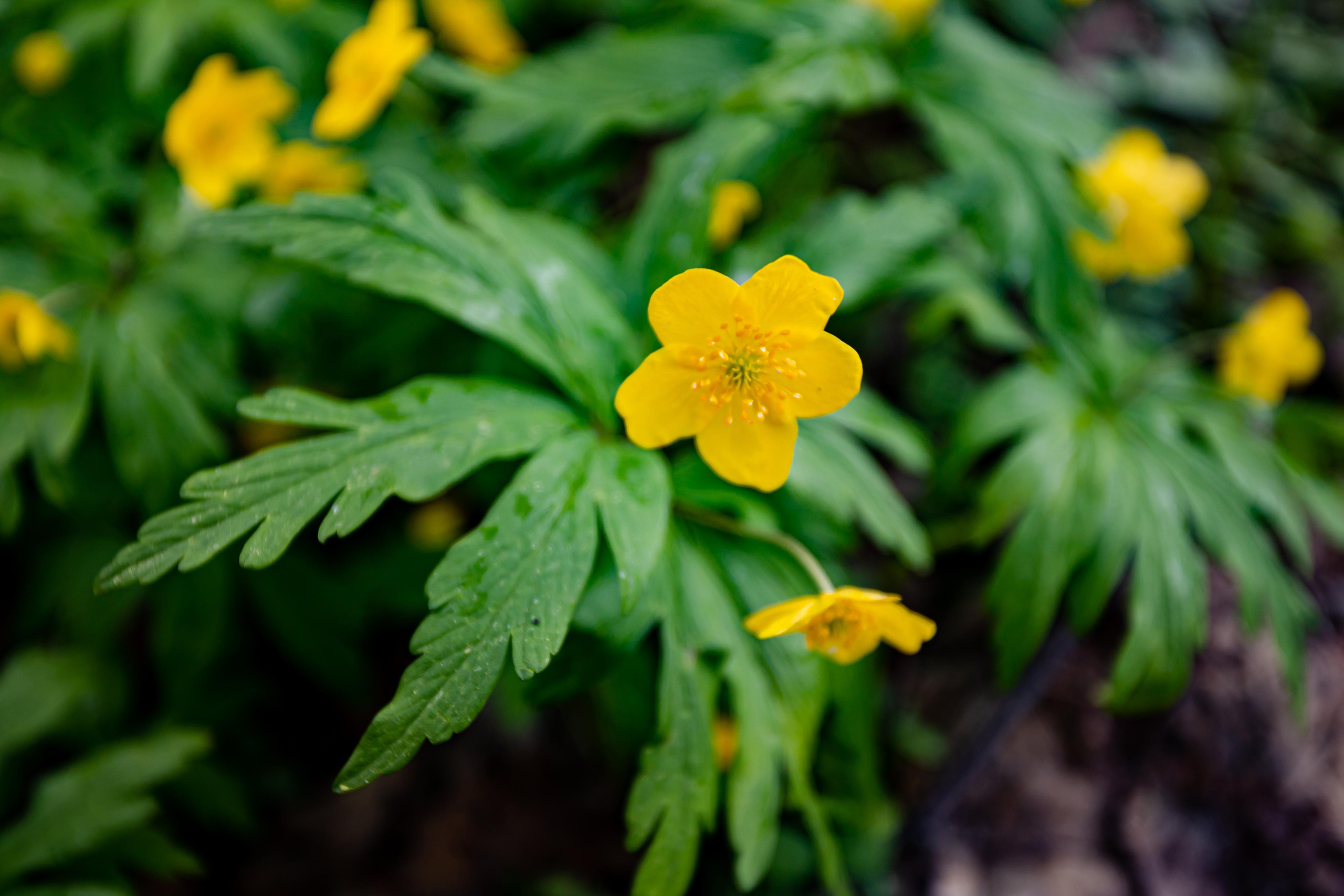 Коллекция пейзажных фотографий. Photographer Sonkina Tatiana (Tanya Ash)