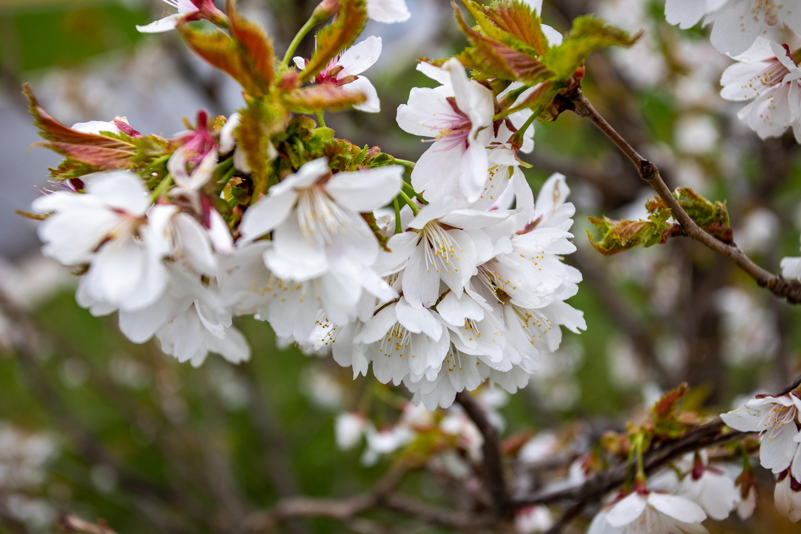 Коллекция пейзажных фотографий. Photographer Sonkina Tatiana (Tanya Ash)