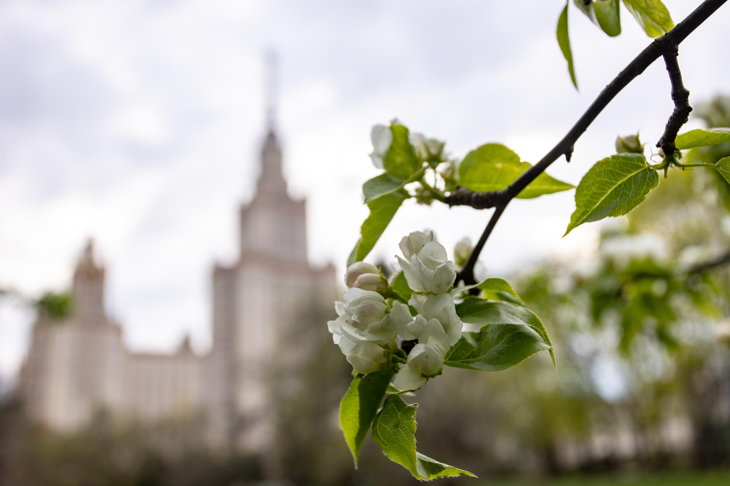 Москва. Photographer Sonkina Tatiana (Tanya Ash)