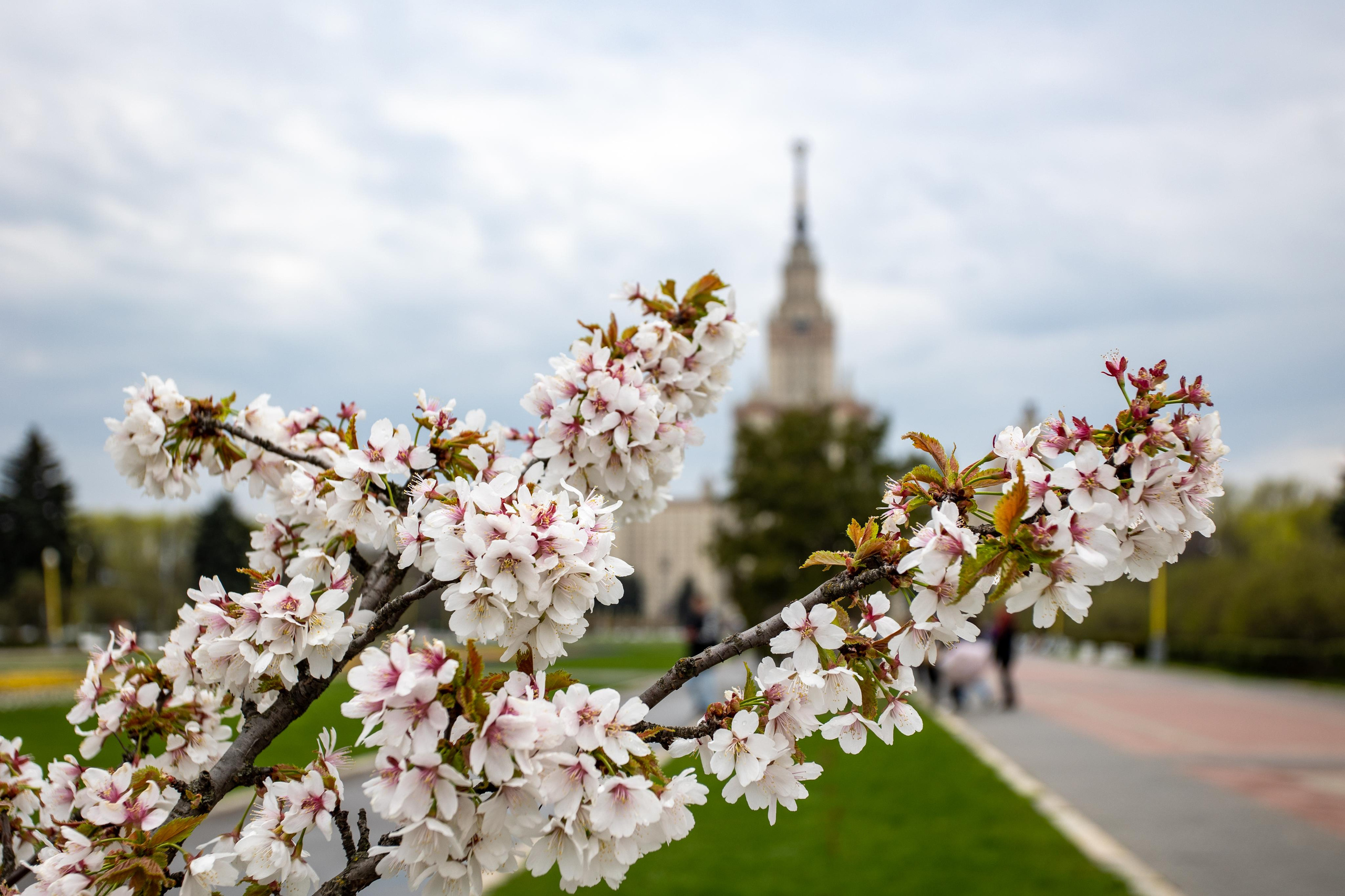 Москва. Photographer Sonkina Tatiana (Tanya Ash)