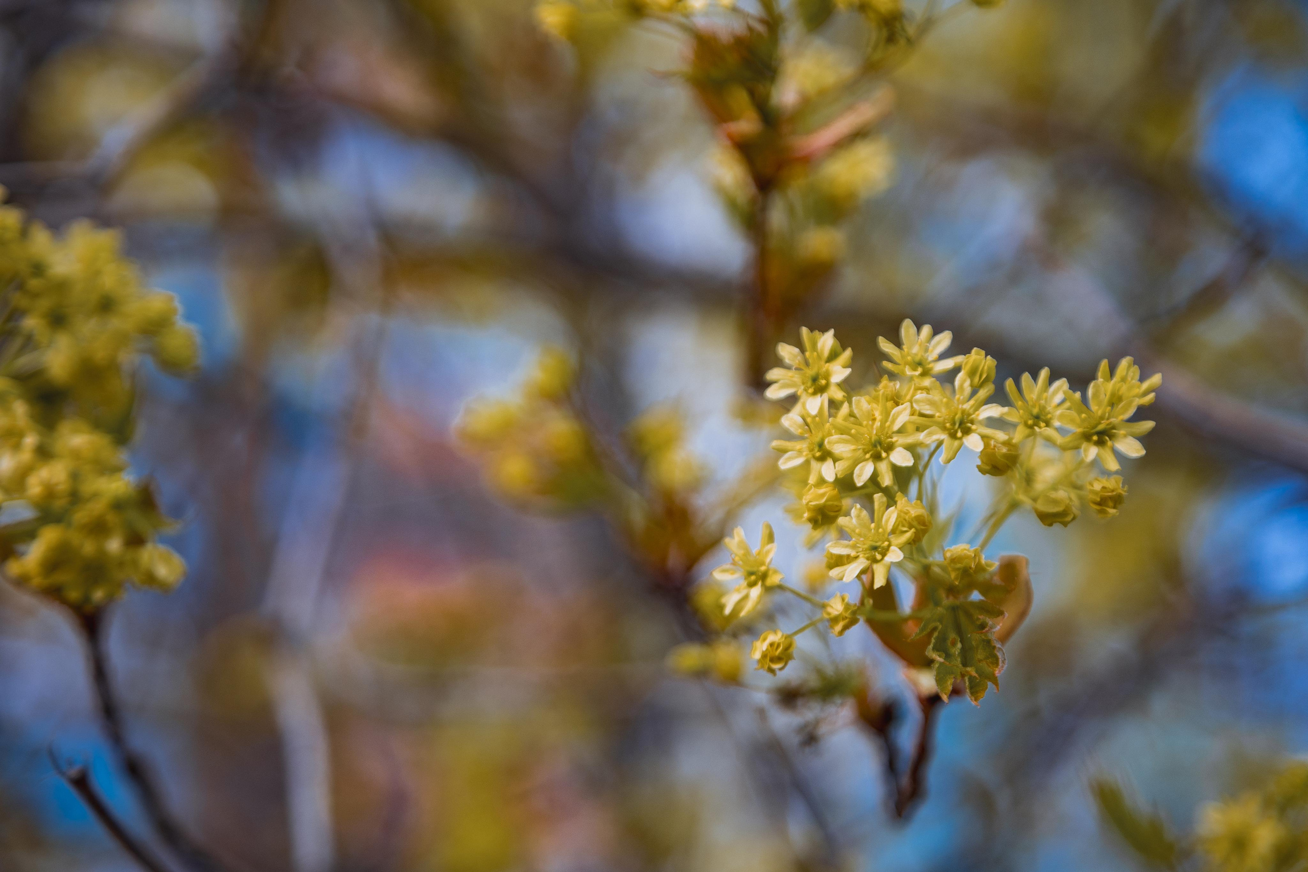Коллекция пейзажных фотографий. Photographer Sonkina Tatiana (Tanya Ash)