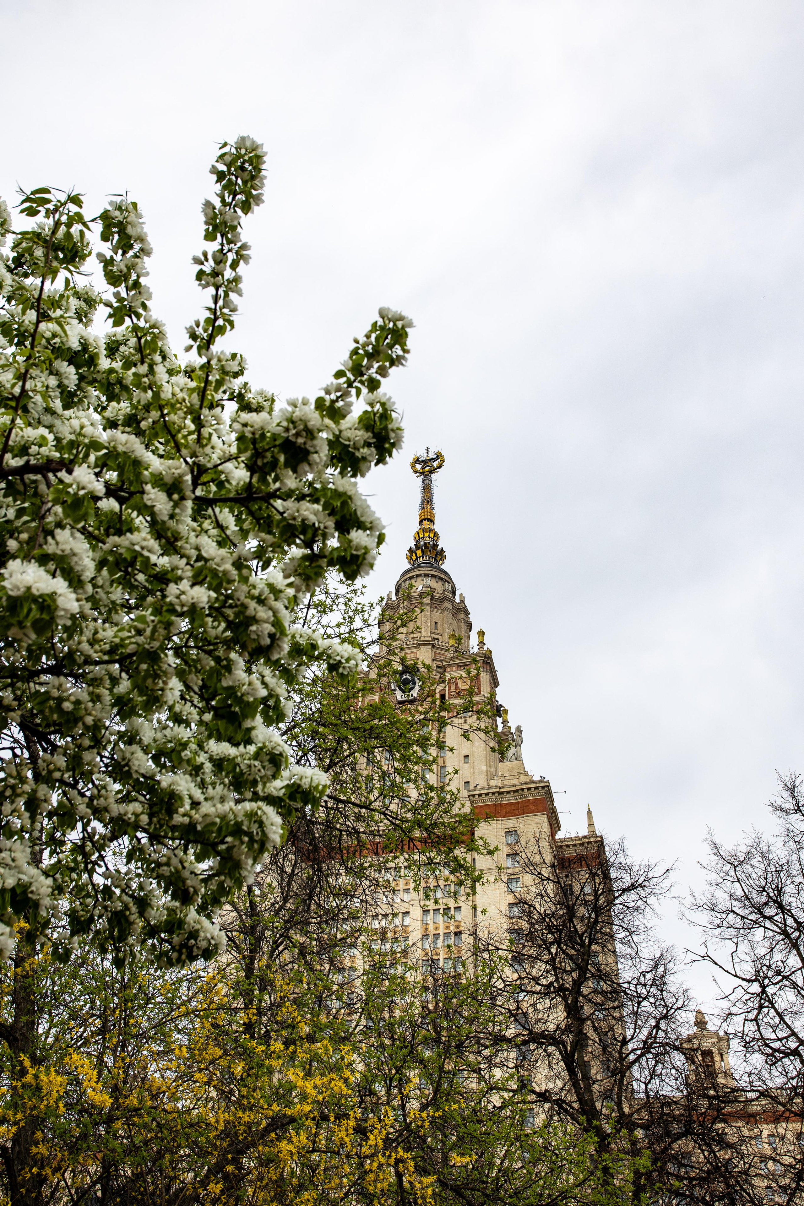 Москва. Photographer Sonkina Tatiana (Tanya Ash)