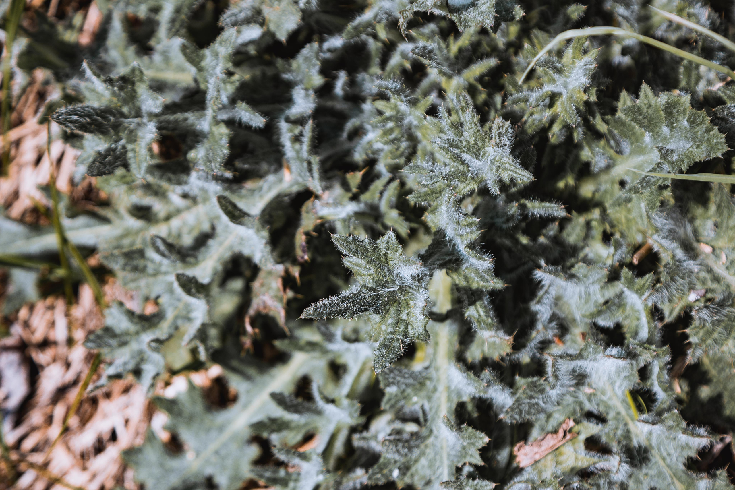 Коллекция пейзажных фотографий. Photographer Sonkina Tatiana (Tanya Ash)