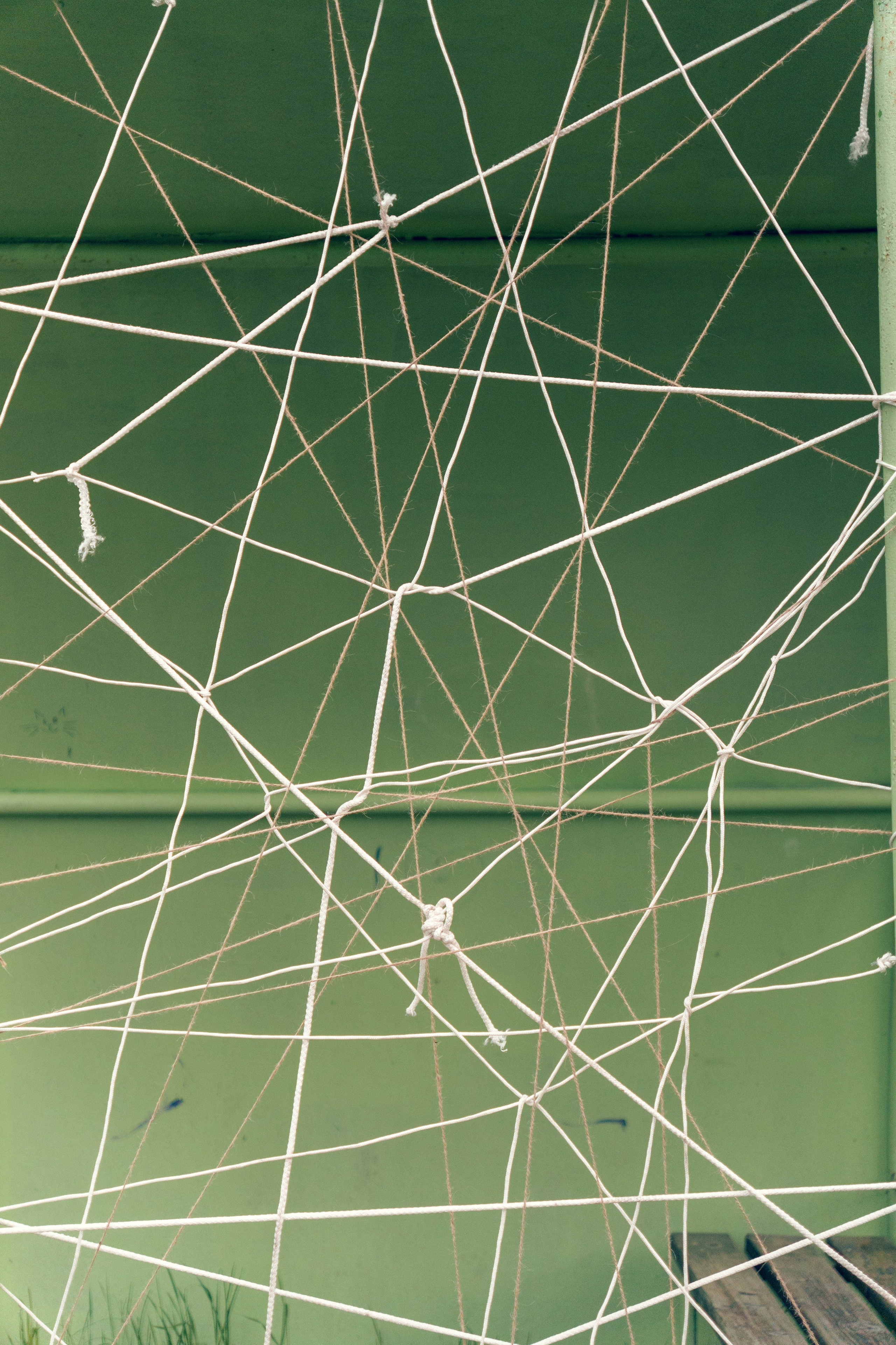 Природа. Фотограф в Санкт-Петербурге Ибрагимова Алина