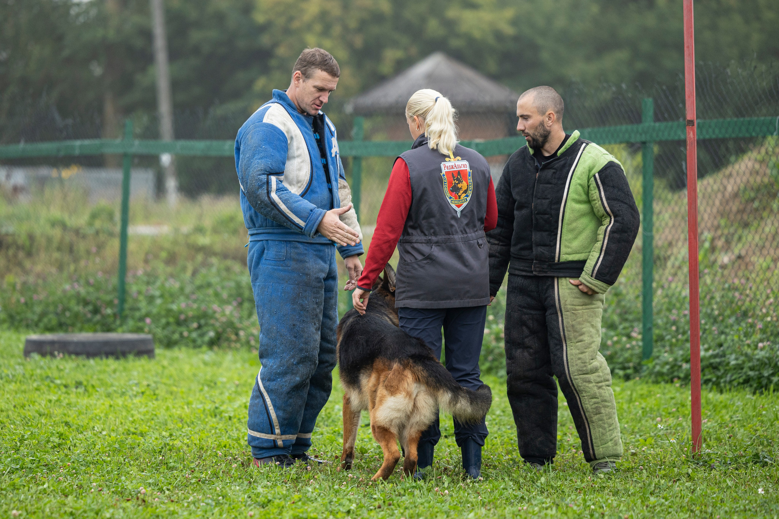 Соревнования по Мондьорингу г. Вологда 10-11.08.2024. Фотограф-анималист Анна Маринич