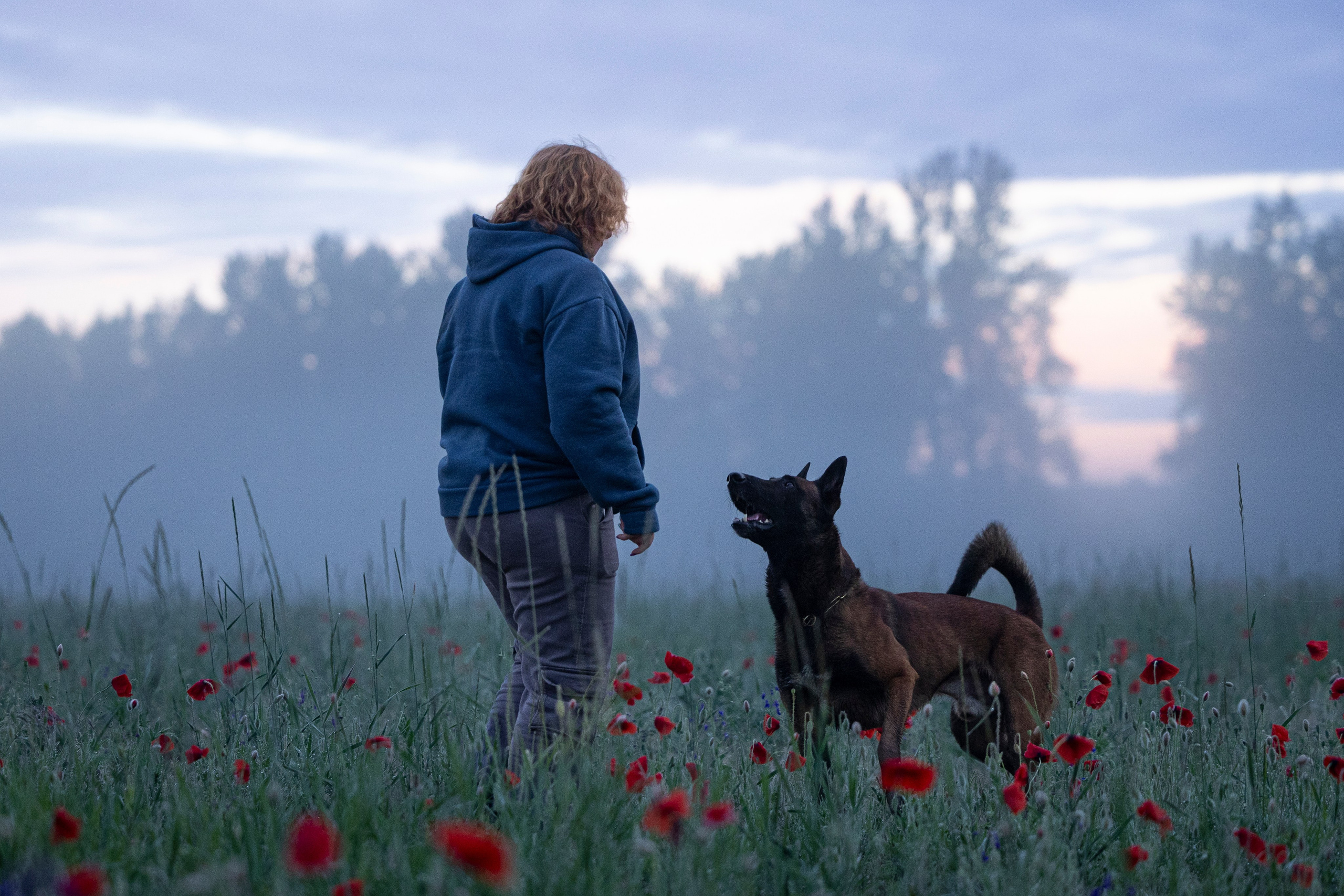 Маковое поле. Фотограф-анималист Анна Маринич