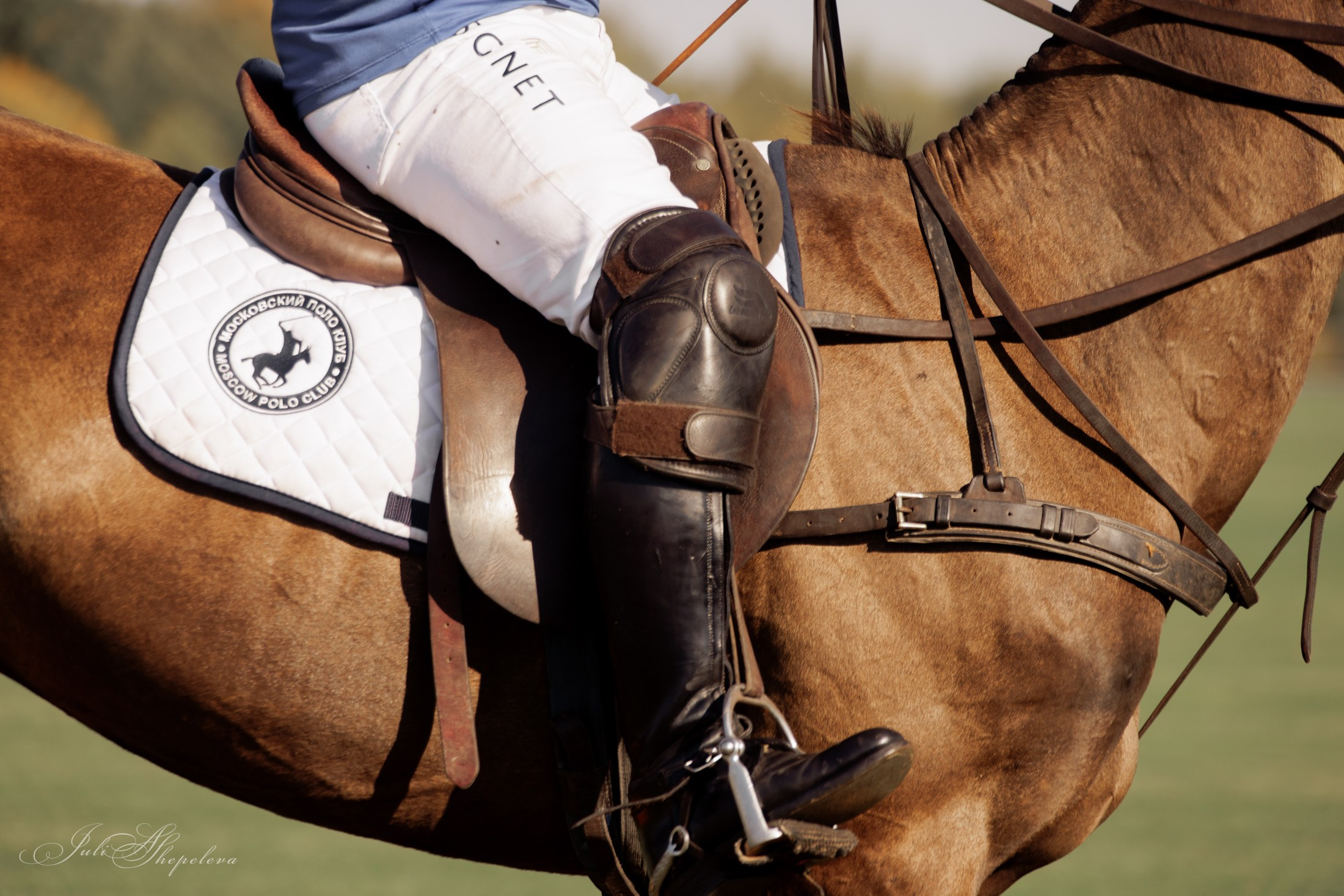 Осенний кубок по конному поло. Детская Конная фотография в Москве Юлия Шепелева