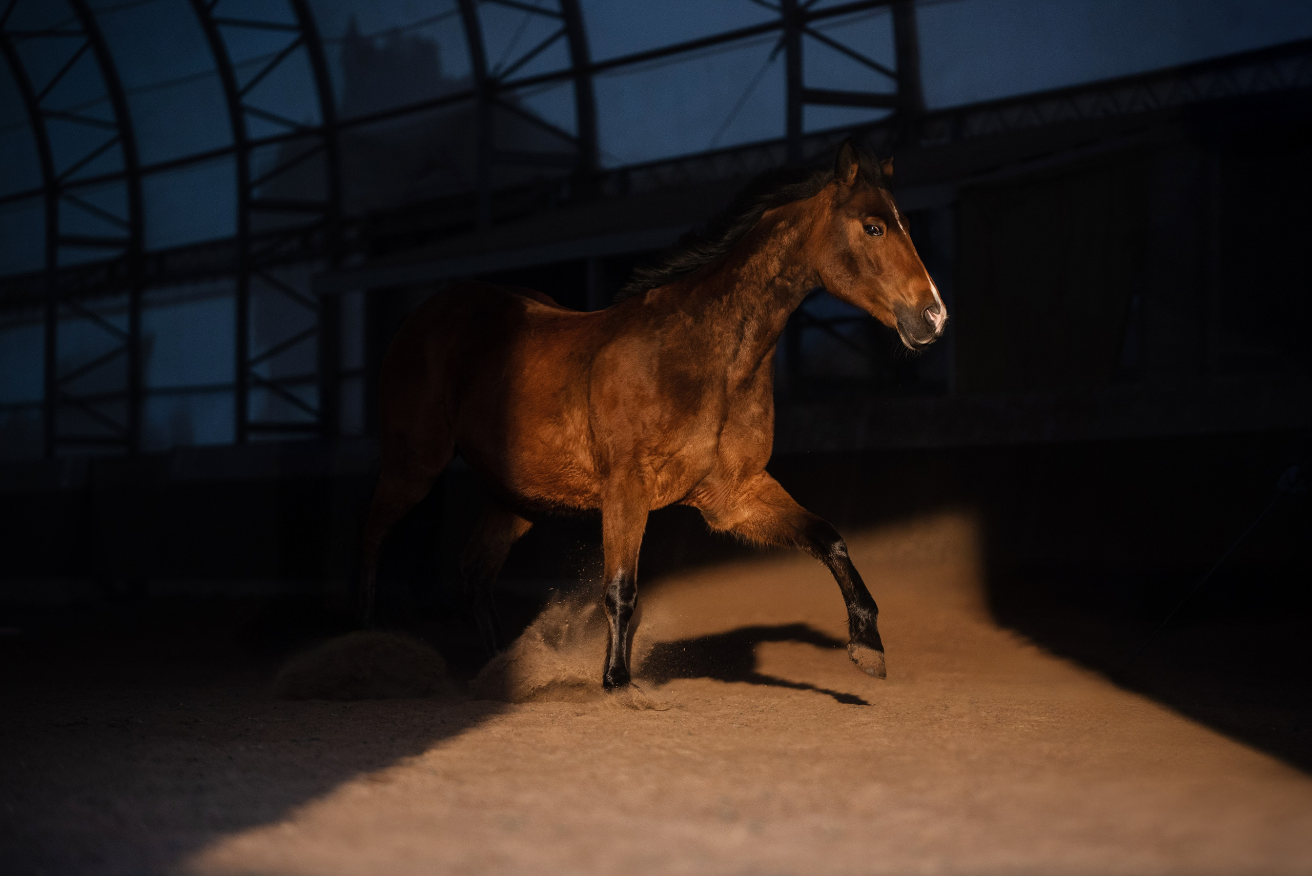 Кантри Клаб. Фотограф Анна Тюрина