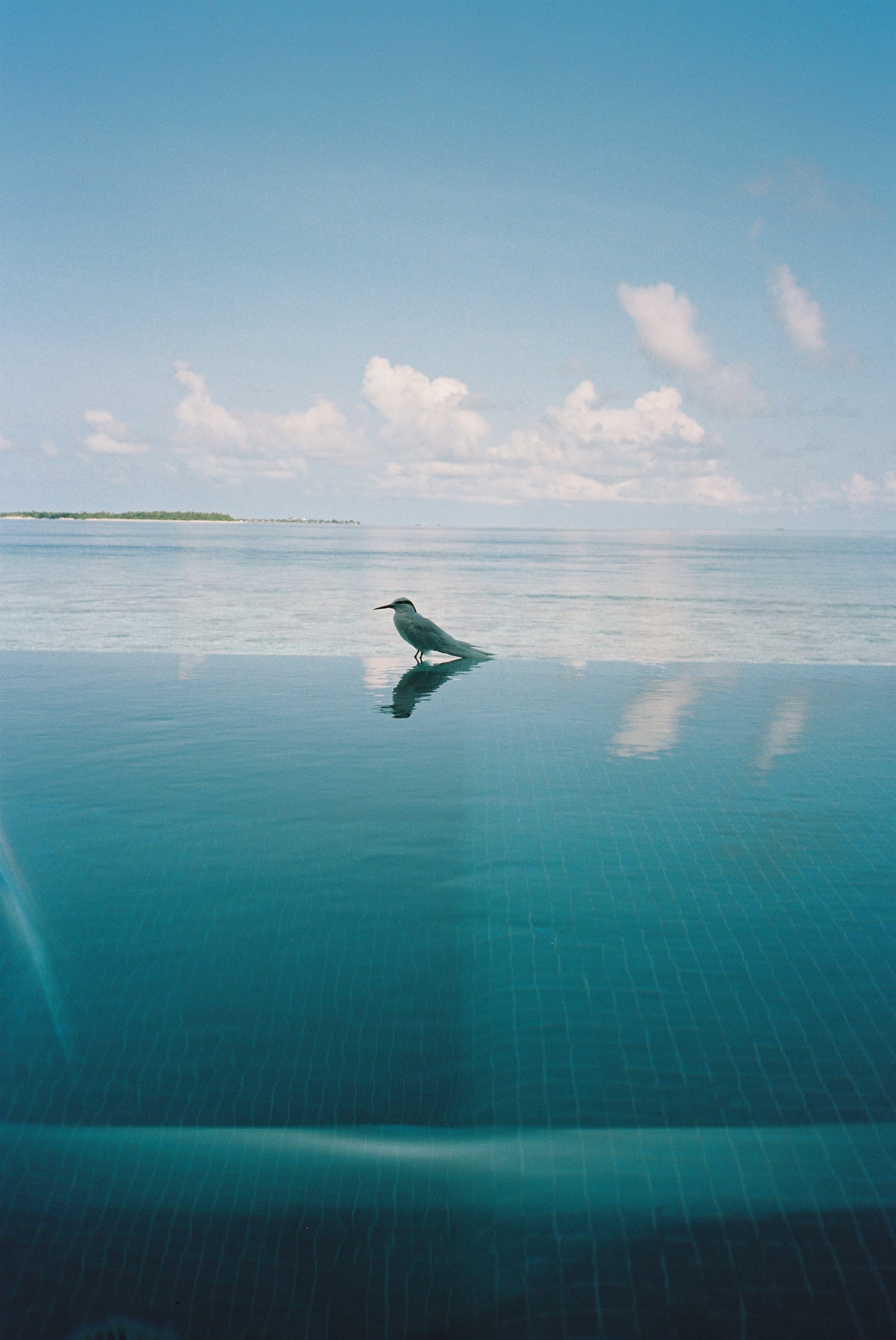 35мм. Katyavasileva