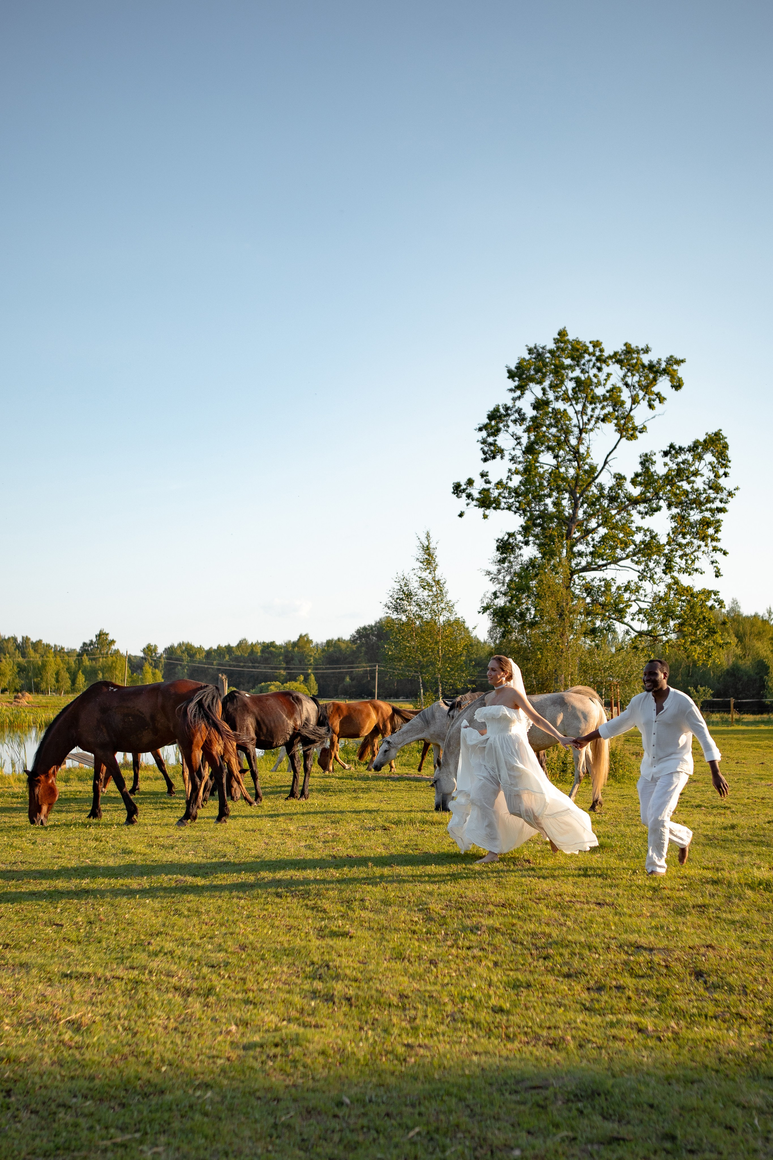 Необычная свадебная фотосессия в Москве с лошадьми