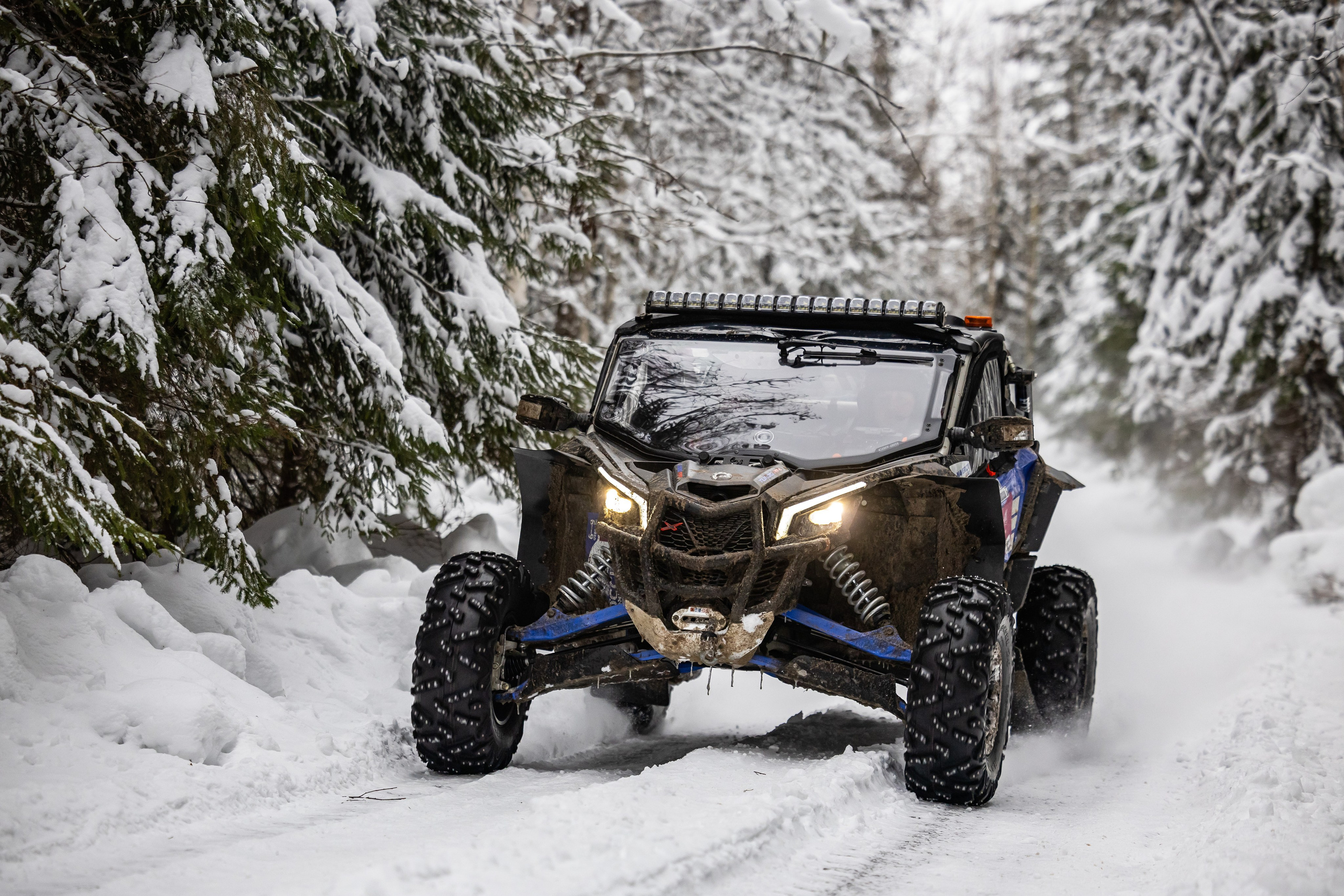 Ралли СеверныйЛес