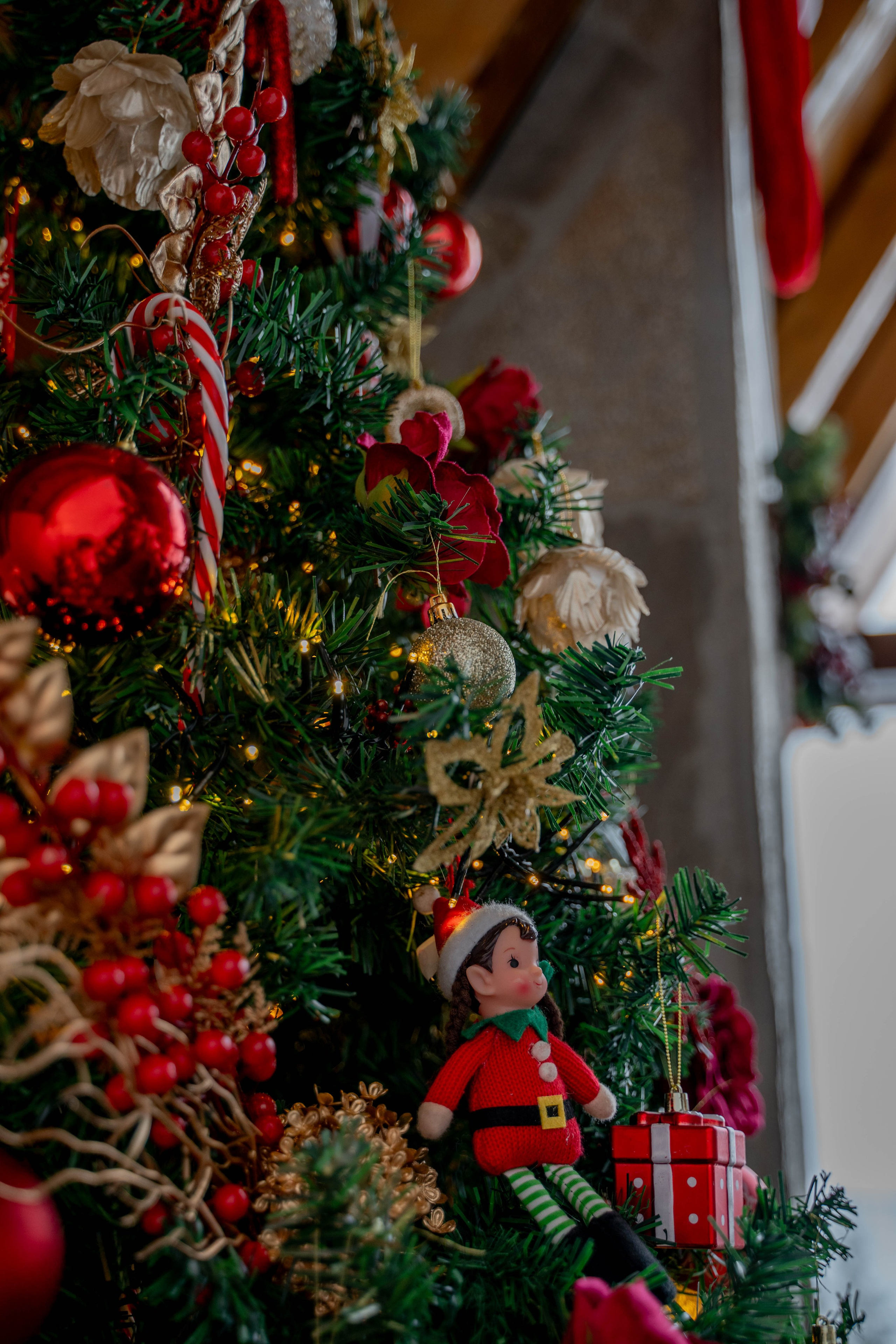 Sofia Kop. Photographer Liana Sudets Serbia Kopaonik Brzece Brus