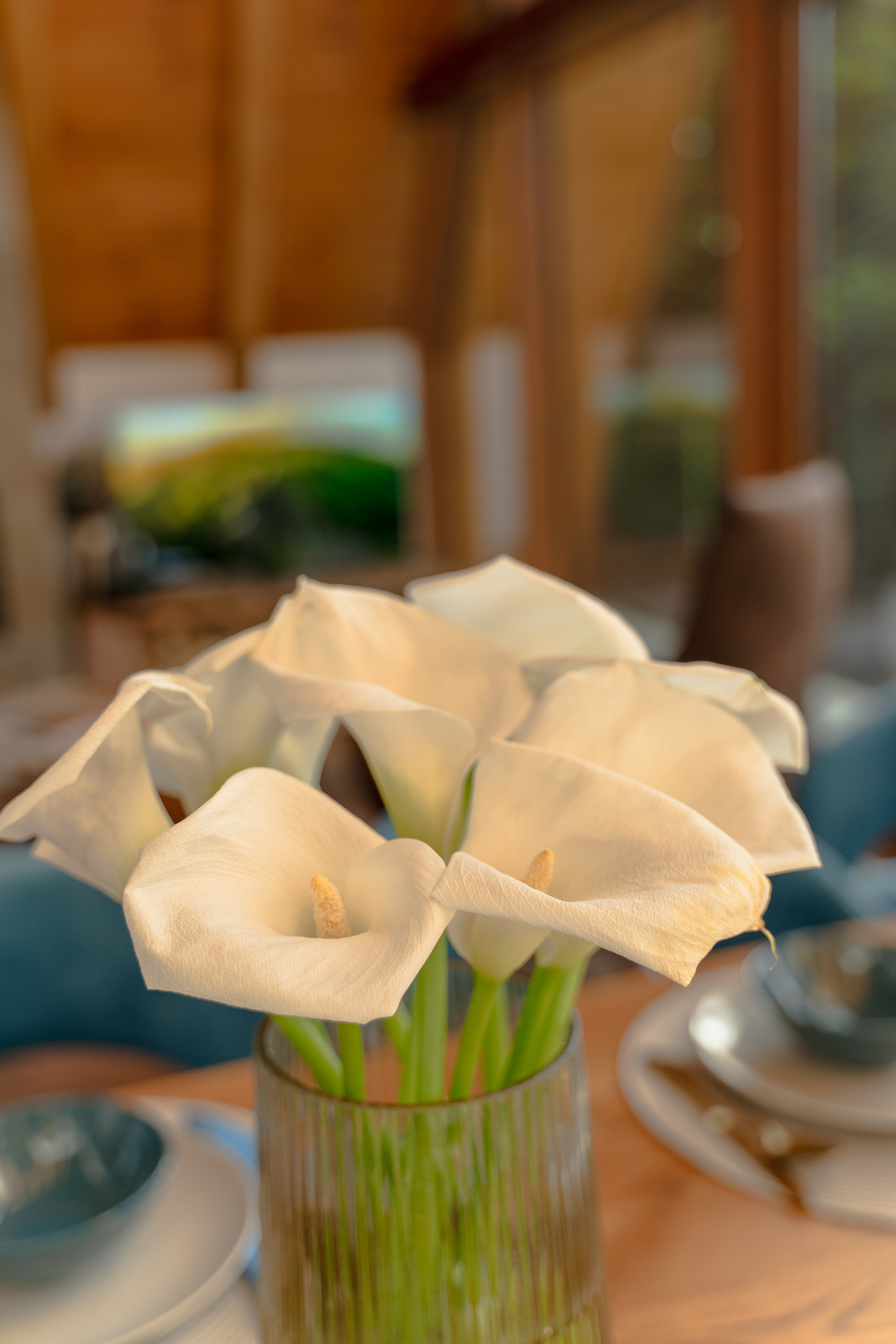 Sofia Luxury Mountain Home. Photographer Liana Sudets Serbia Kopaonik Brzece Brus