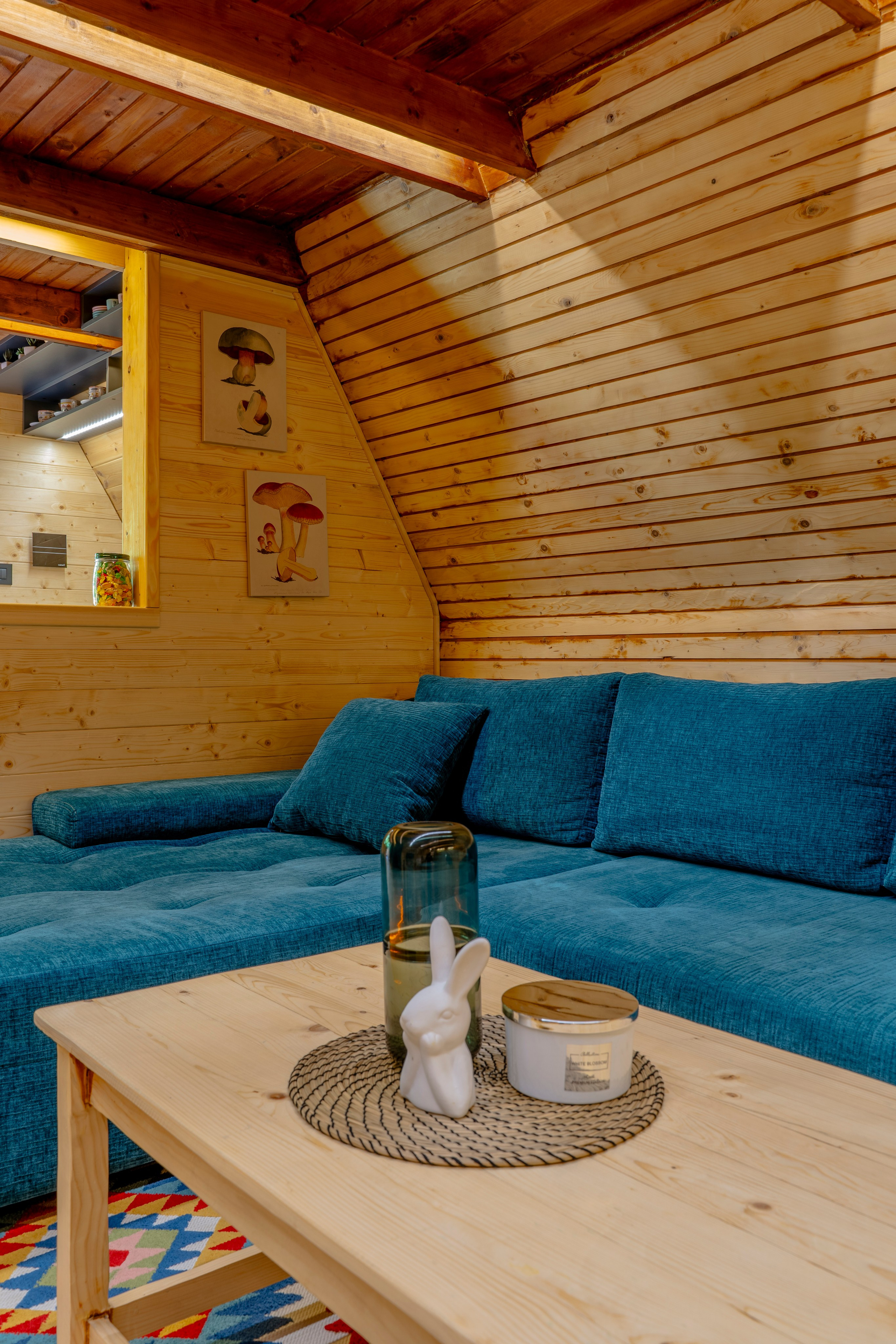 Viktorija Chalet. Photographer Liana Sudets Serbia Kopaonik Brzece Brus