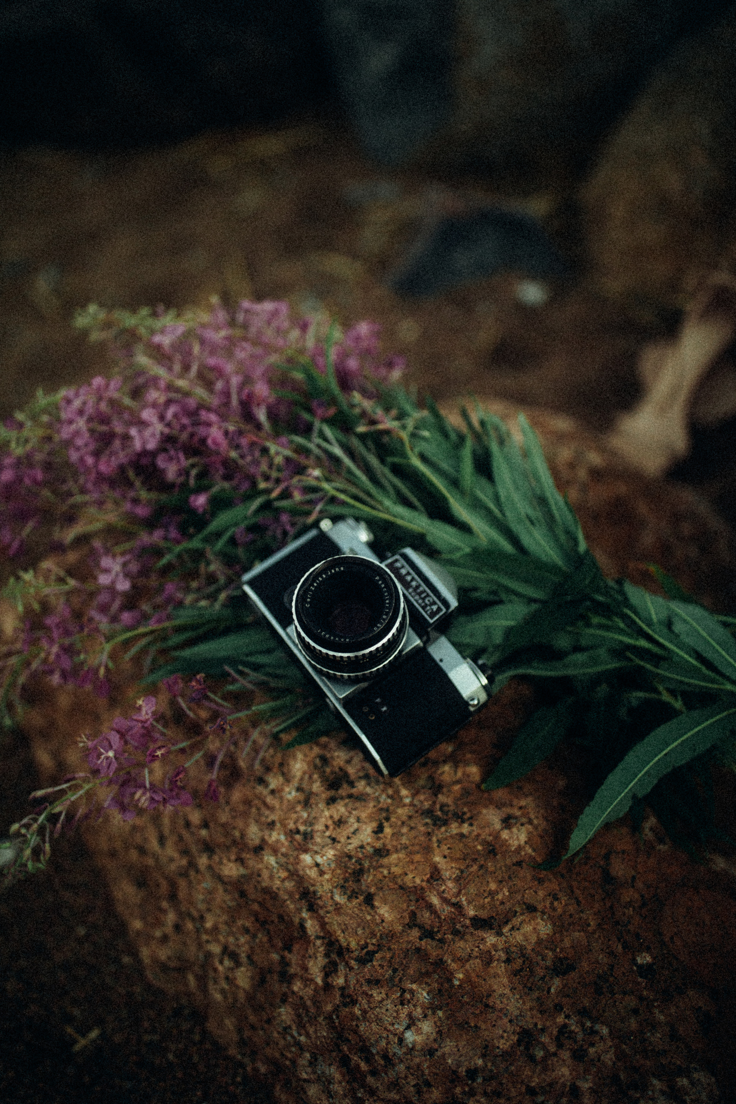 3 июня 2021. Фотограф Дубай