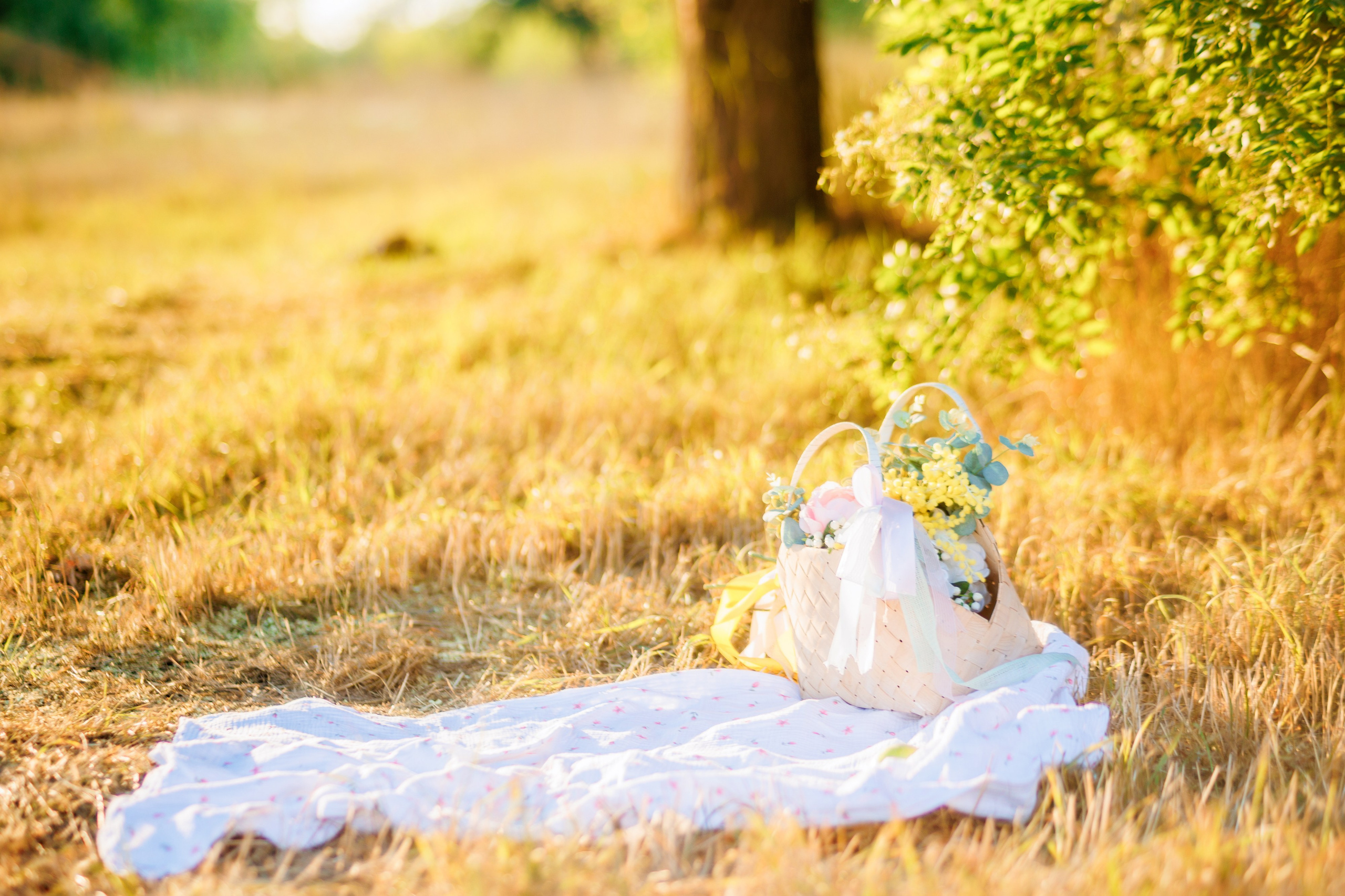 Прогулка на природе. Свадебный и семейный фотограф в Армавире